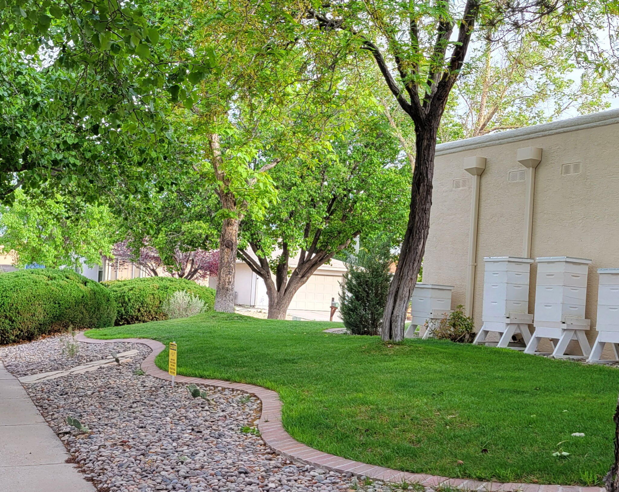 5100 Cordoniz Street NW