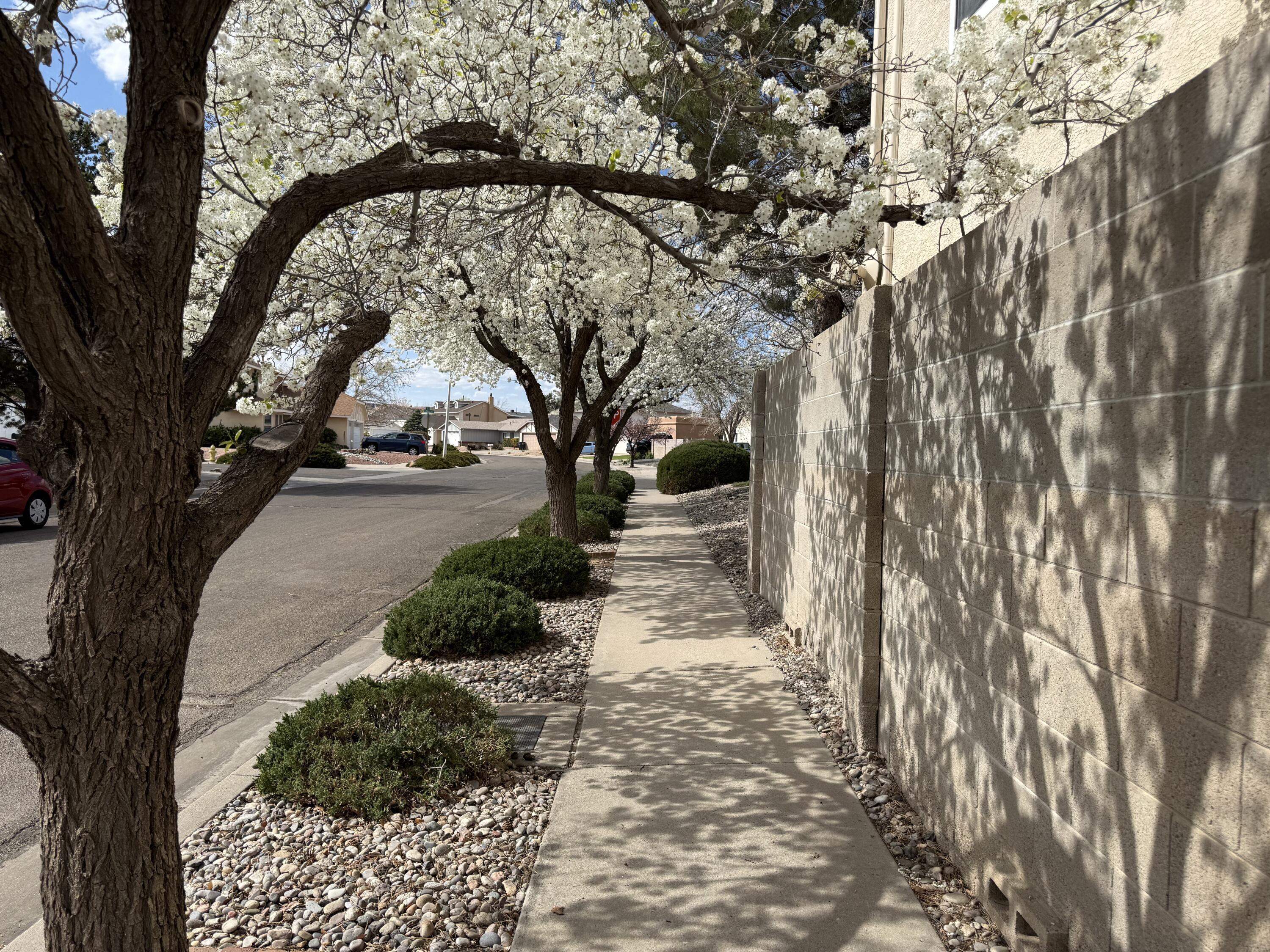 5100 Cordoniz Street NW