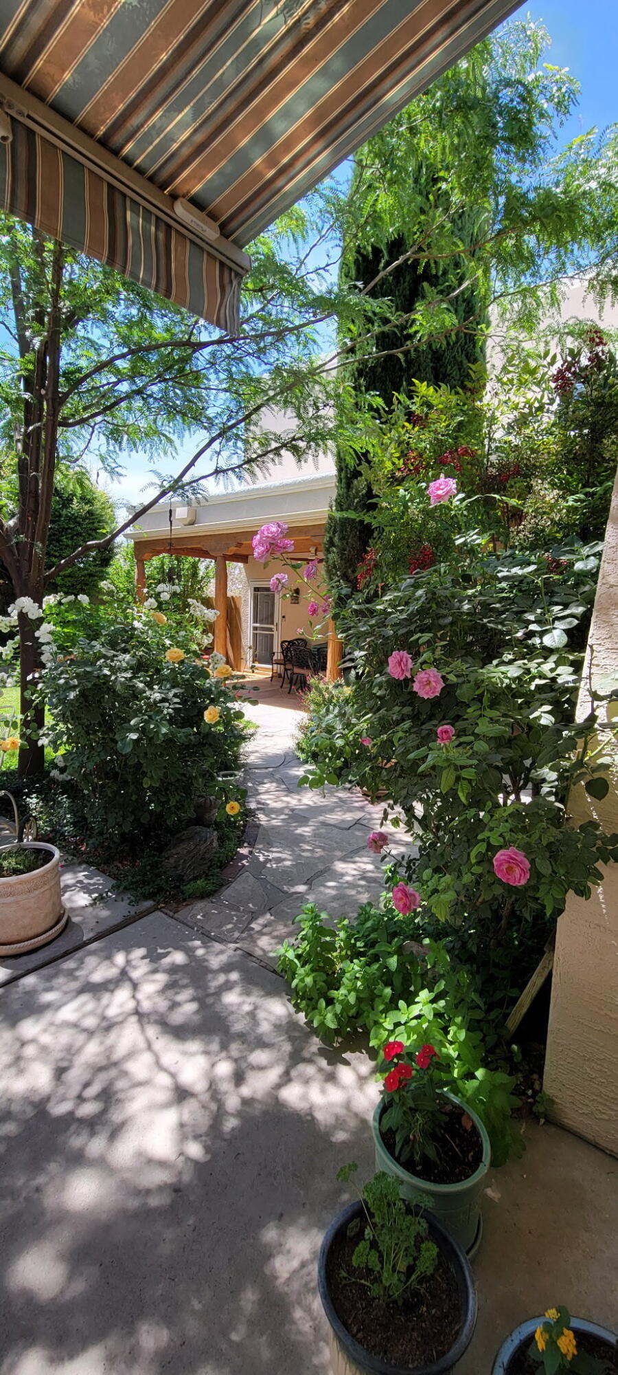 5100 Cordoniz Street NW