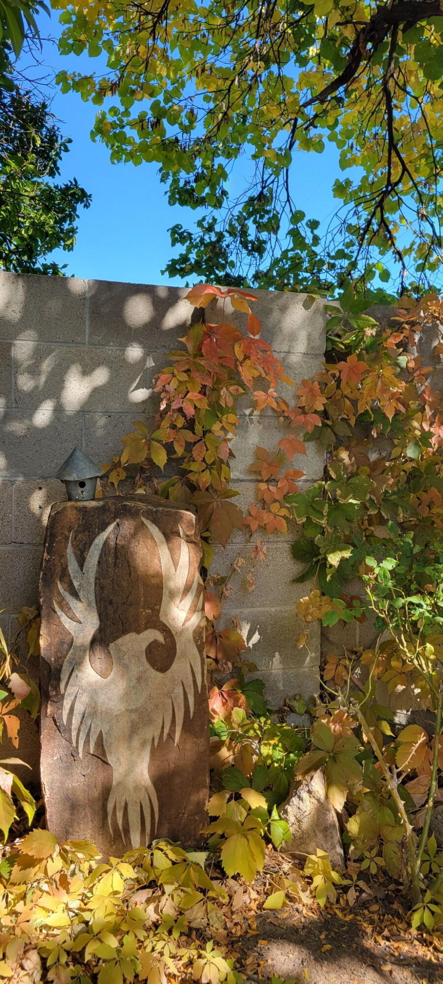 5100 Cordoniz Street NW