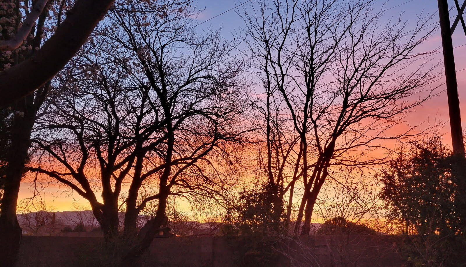 5100 Cordoniz Street NW