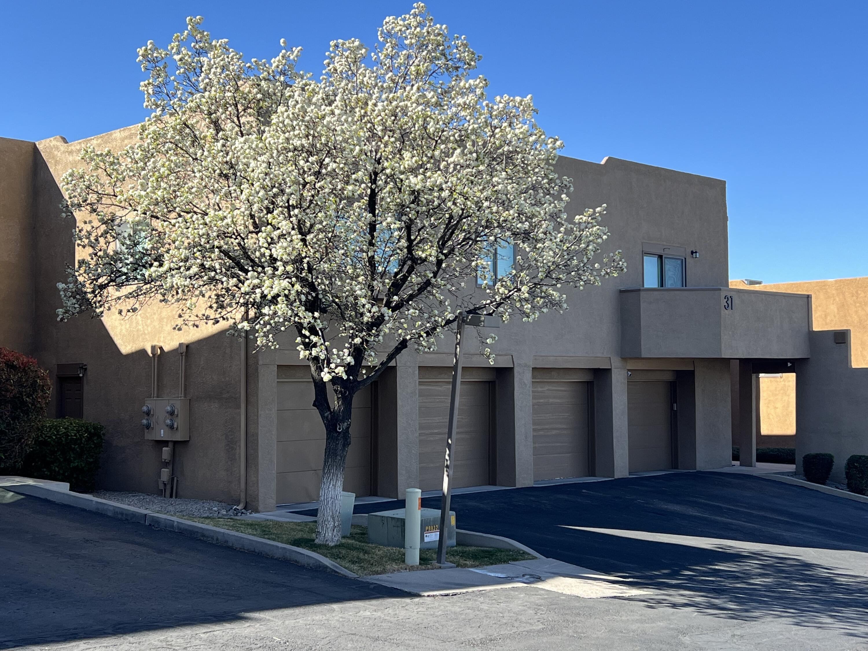 2900 Vista Del Rey NE UNIT 31A