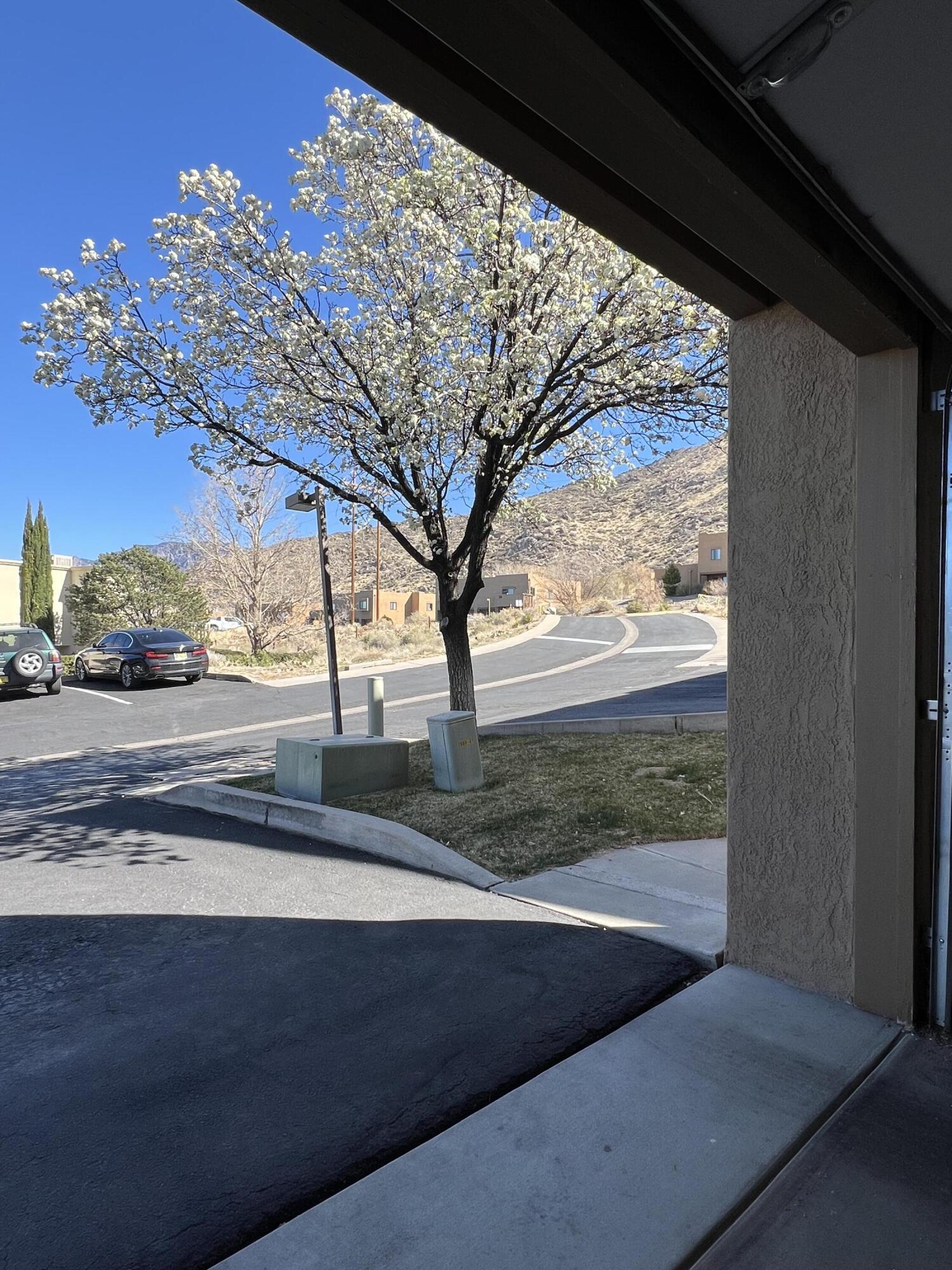 2900 Vista Del Rey NE UNIT 31A