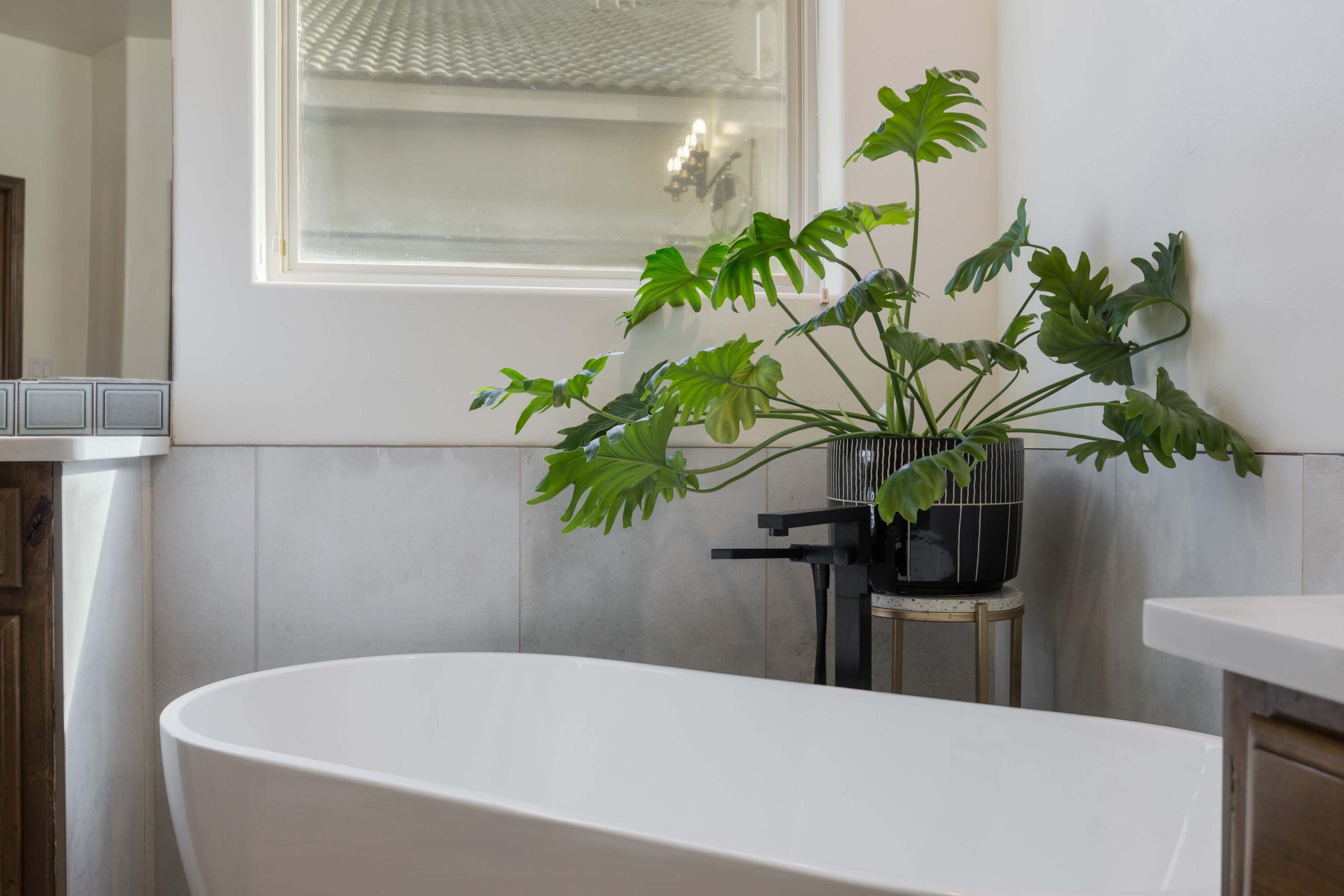 8805 Warm Springs Road NW