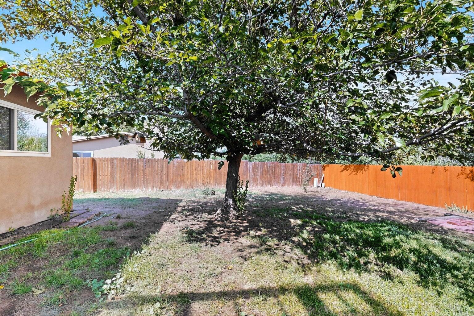 2702 Avenue Del Sol