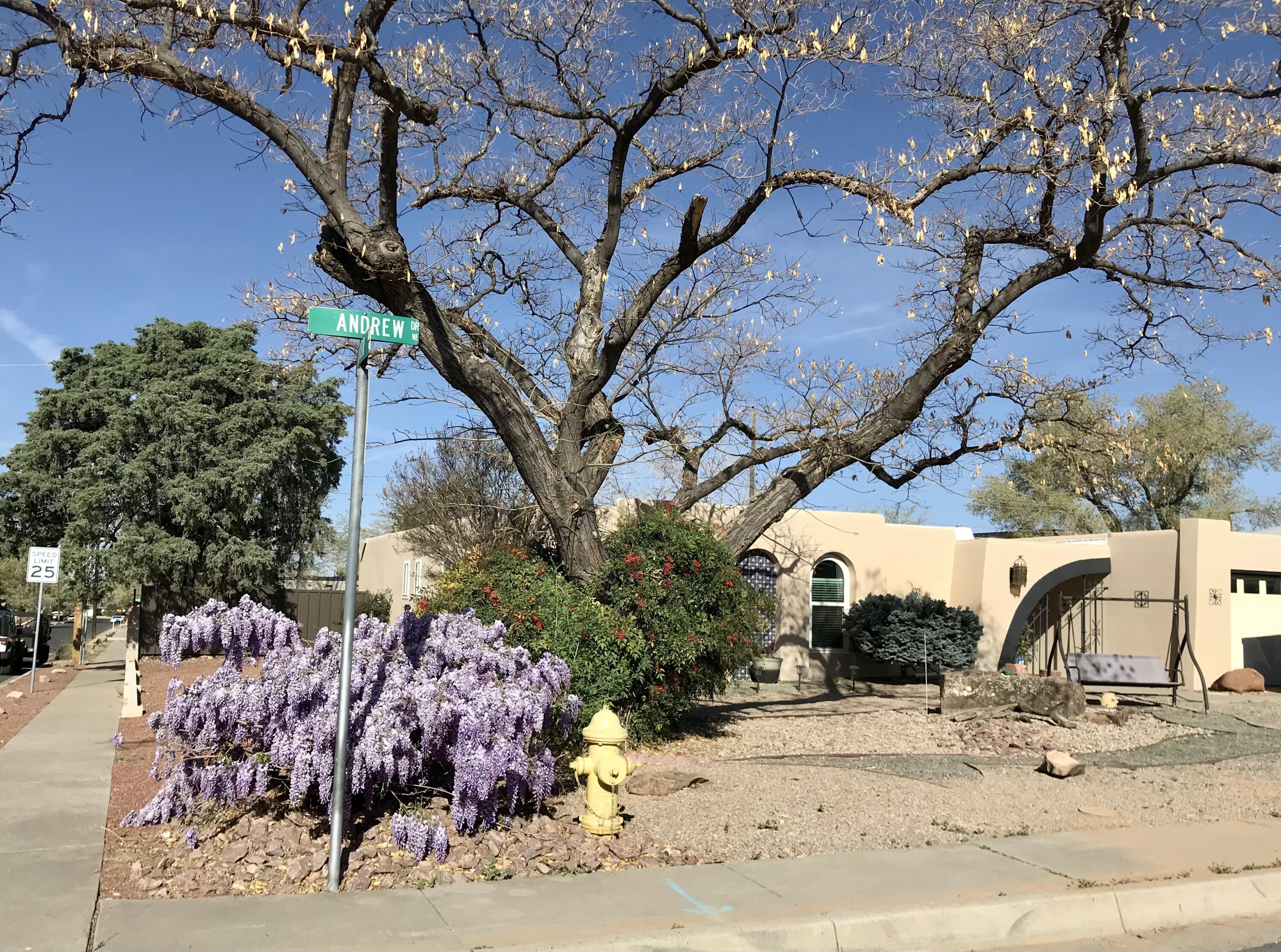 4301 Andrew Drive NE