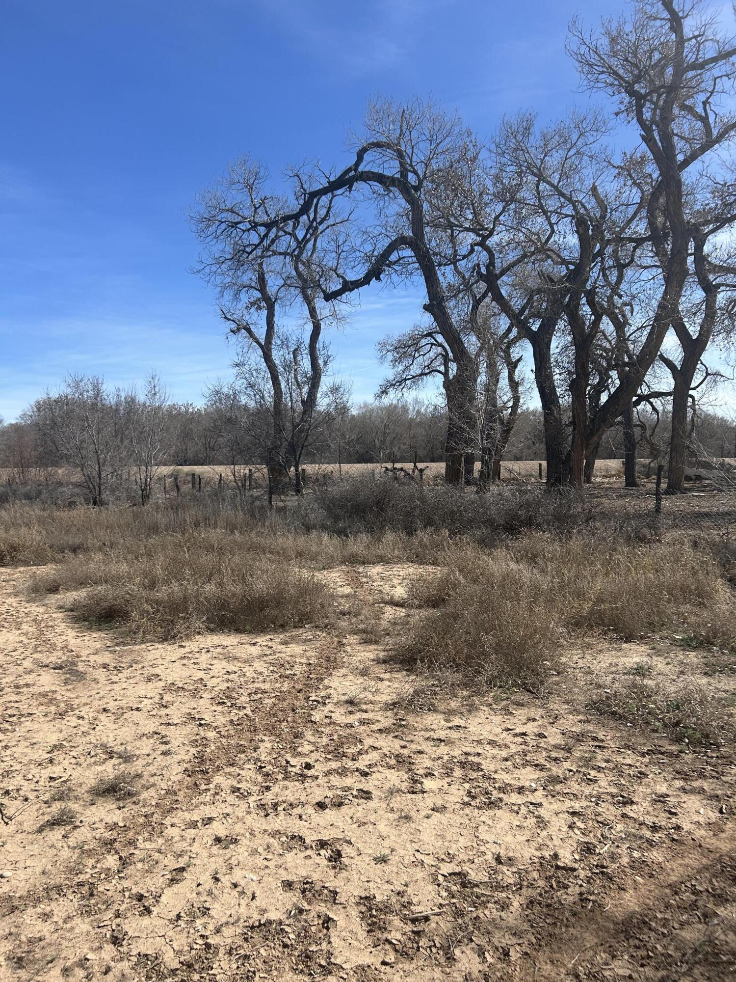 1991 Brown Road SW