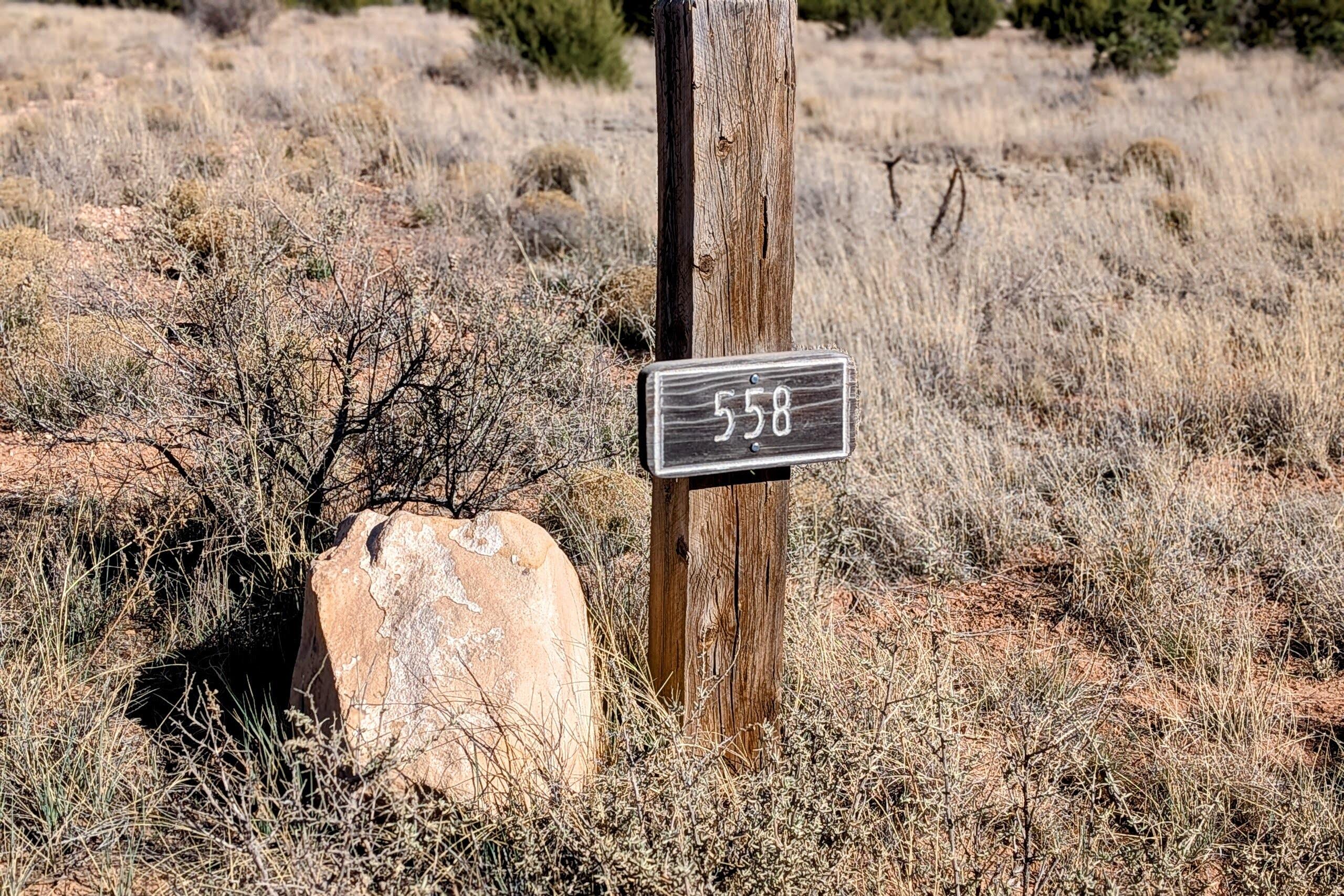 558 Deer Canyon Trail