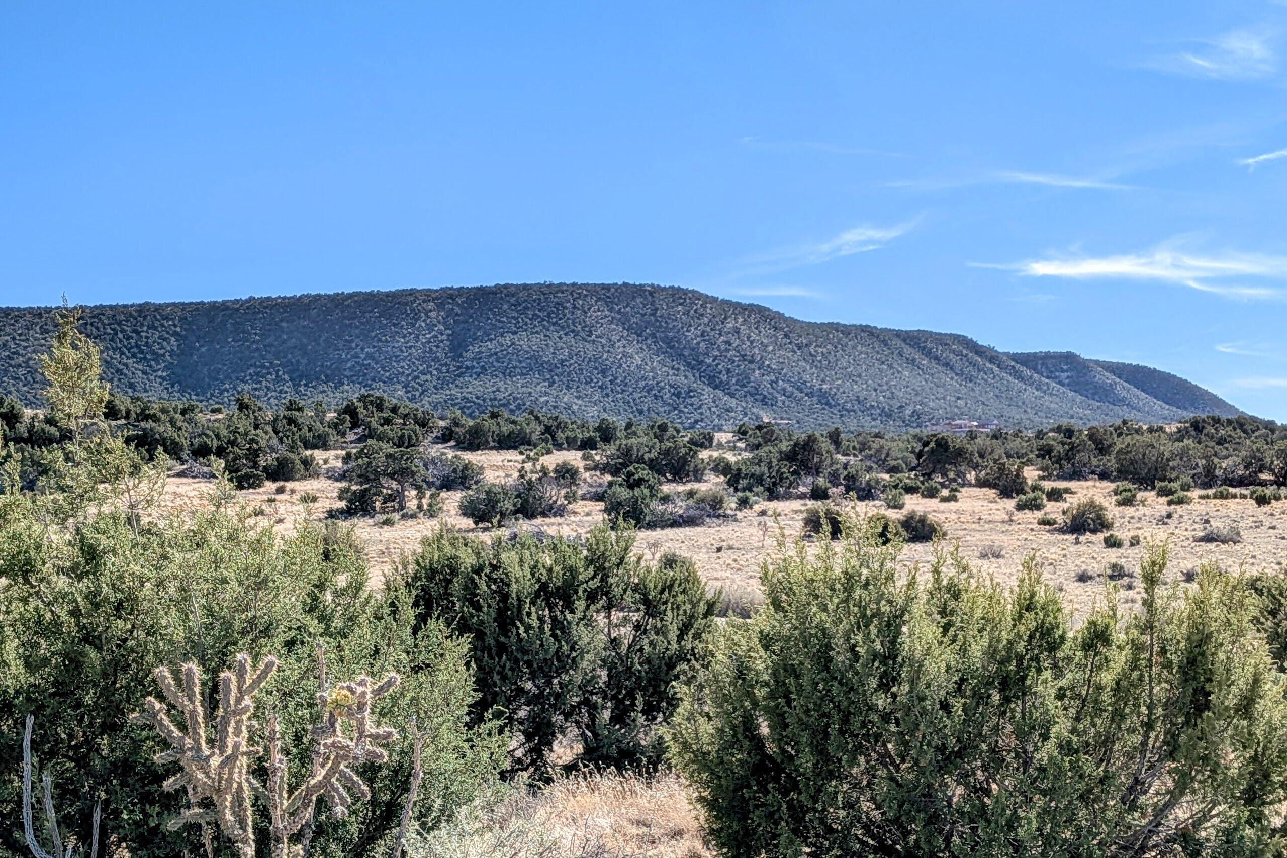 558 Deer Canyon Trail