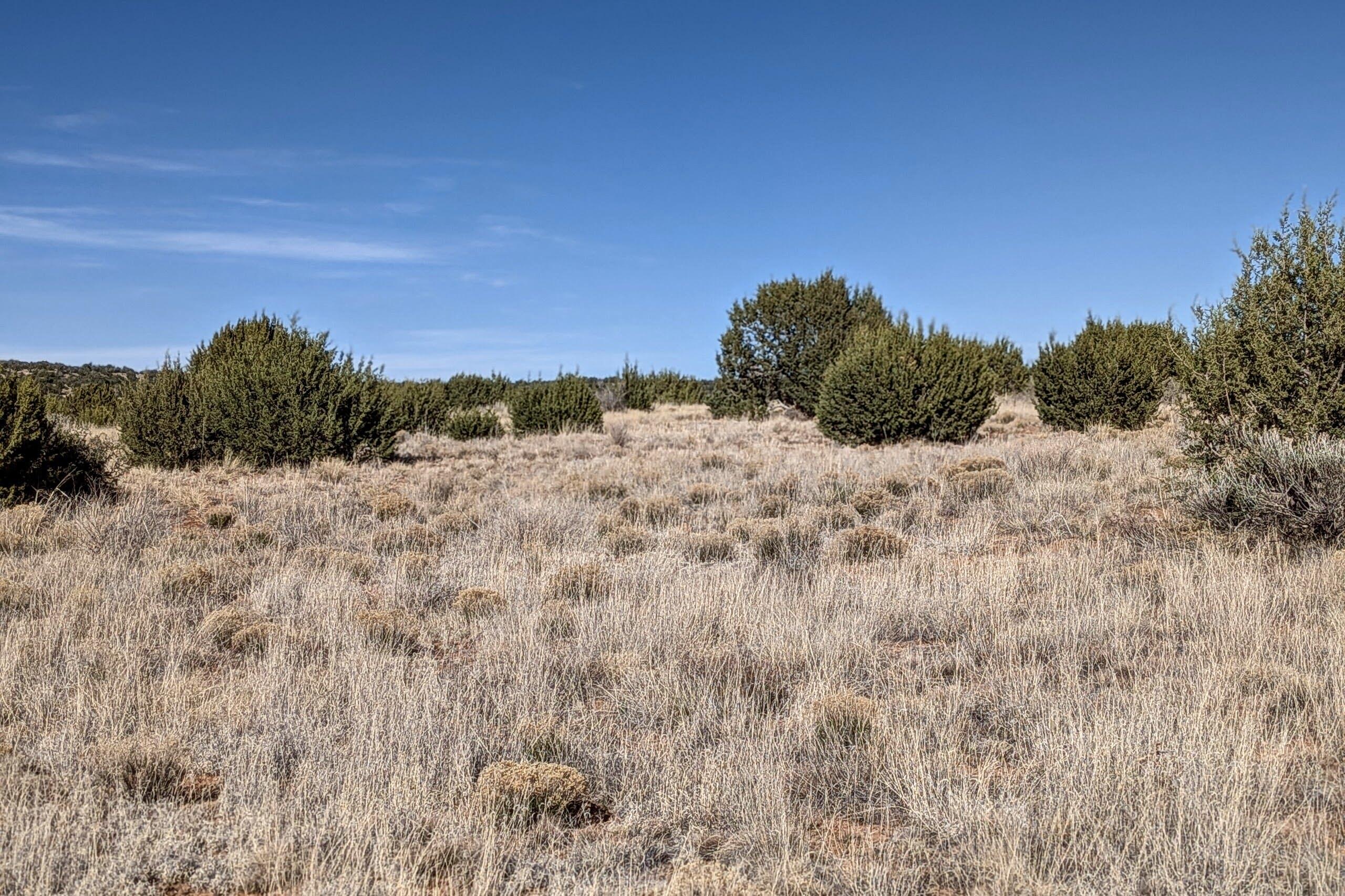 558 Deer Canyon Trail