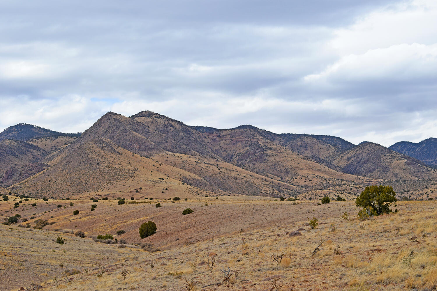 Lot 124 Rolling Hills