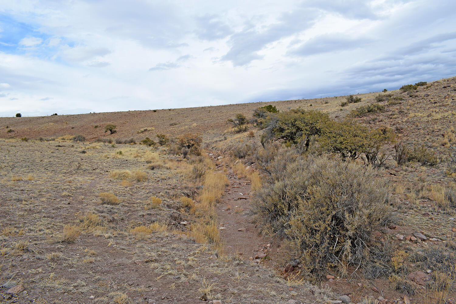 Lot 124 Rolling Hills