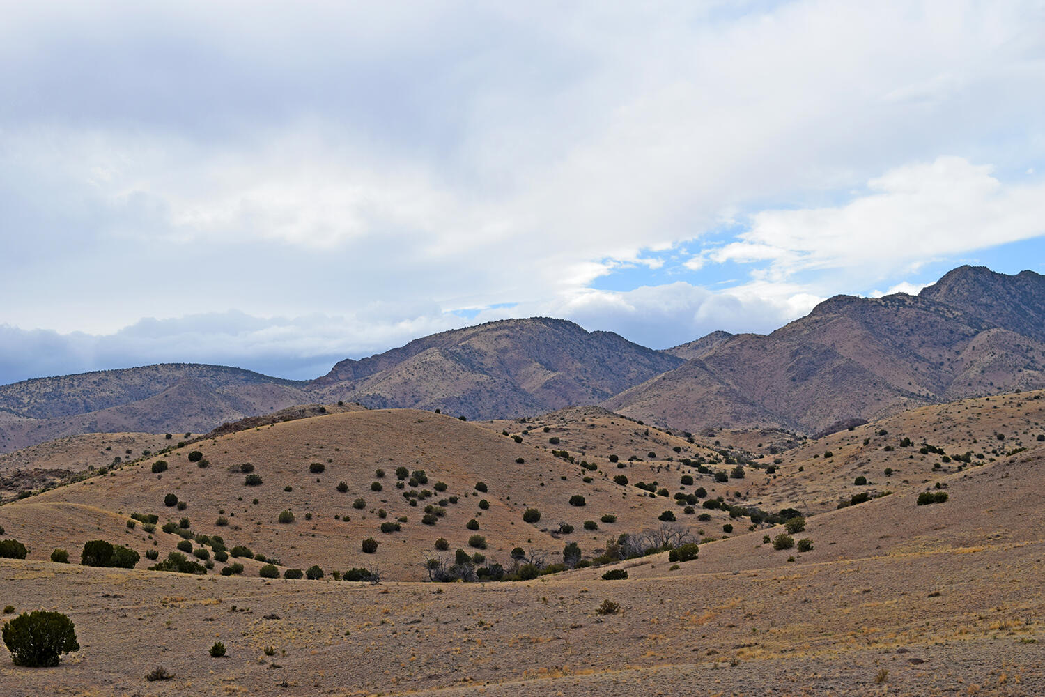 Lot 124 Rolling Hills