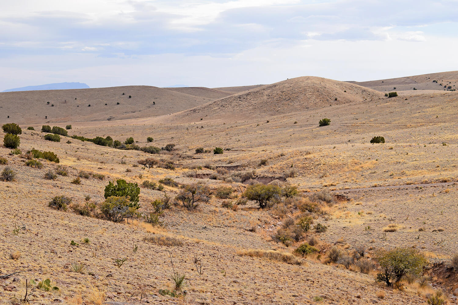 Lot 124 Rolling Hills