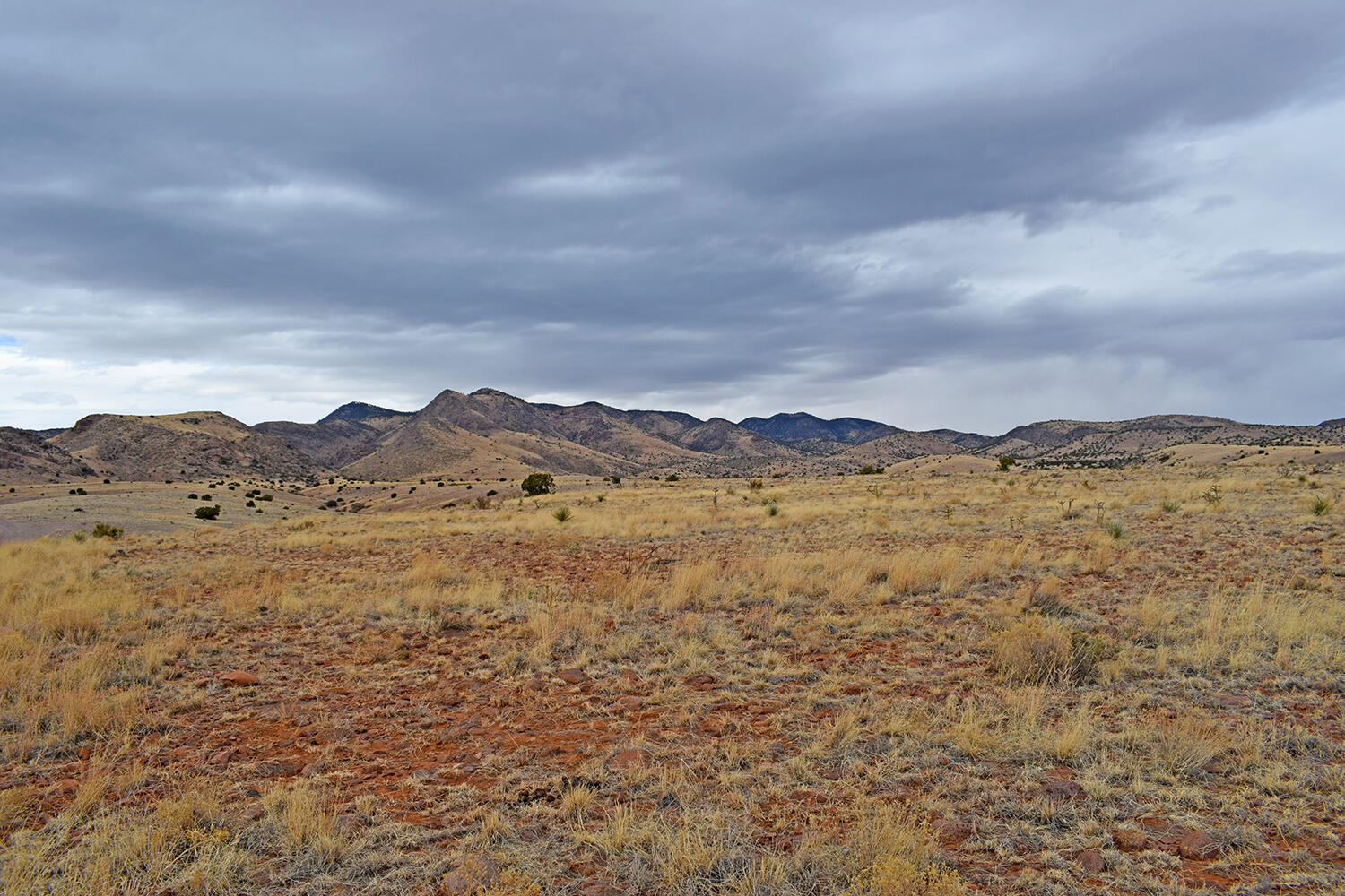 Lot 124 Rolling Hills