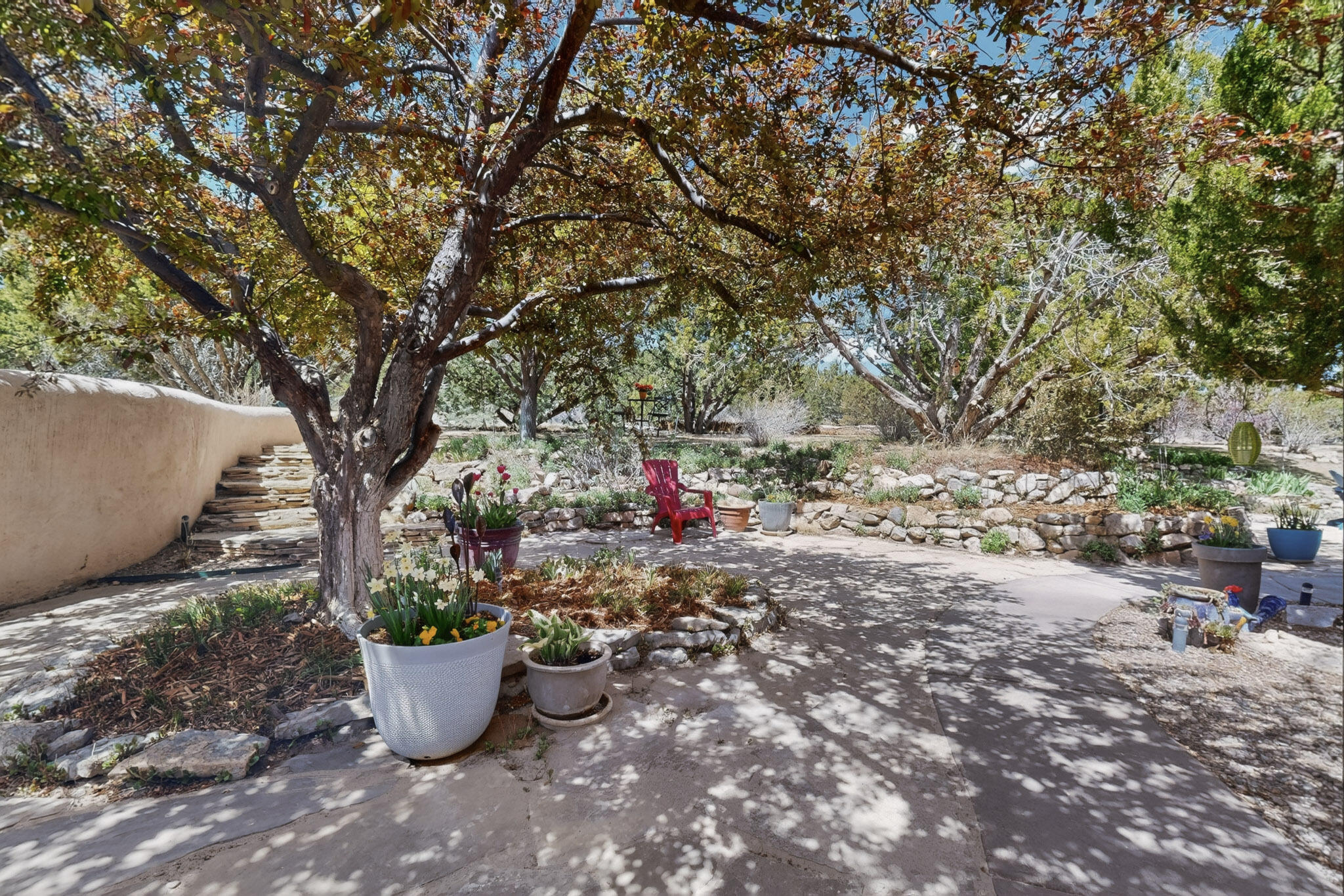 56 Western Saddle Drive