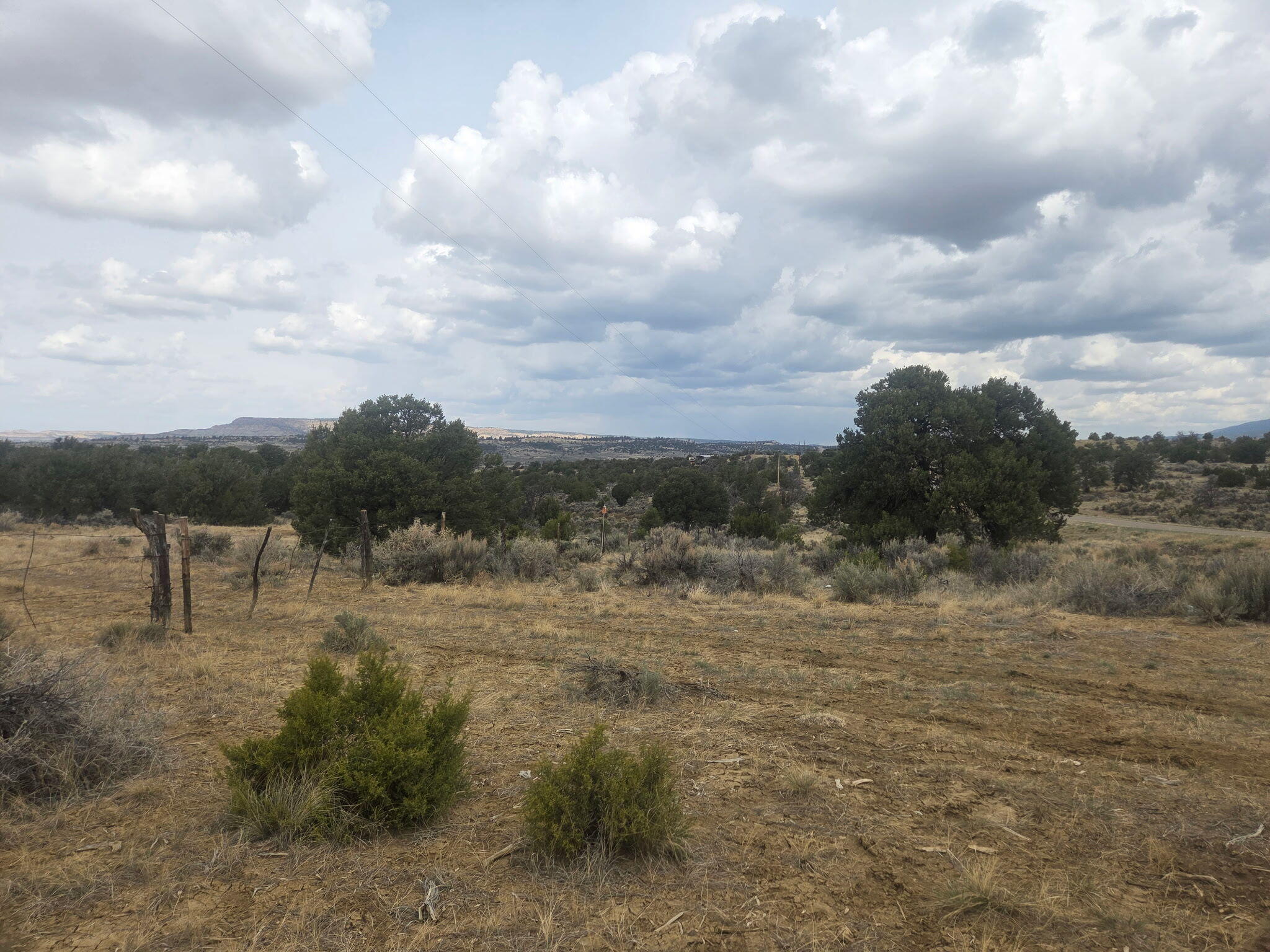 469 Co Rd 11