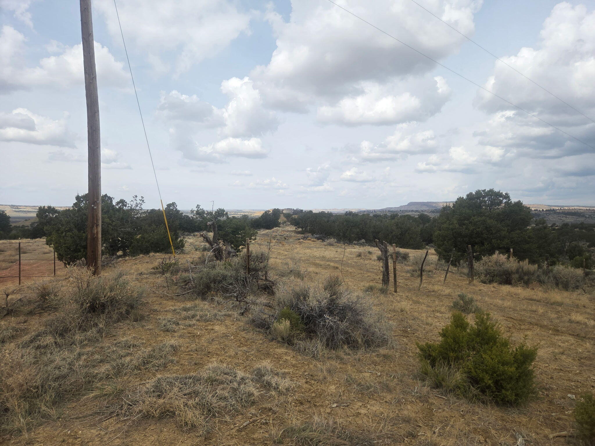 469 Co Rd 11