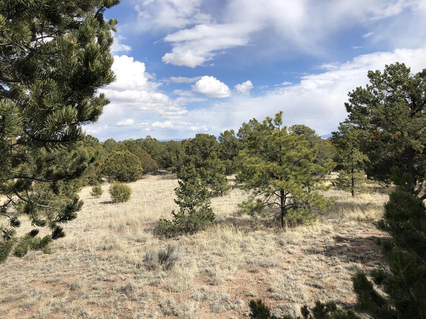 133 Homestead Trail