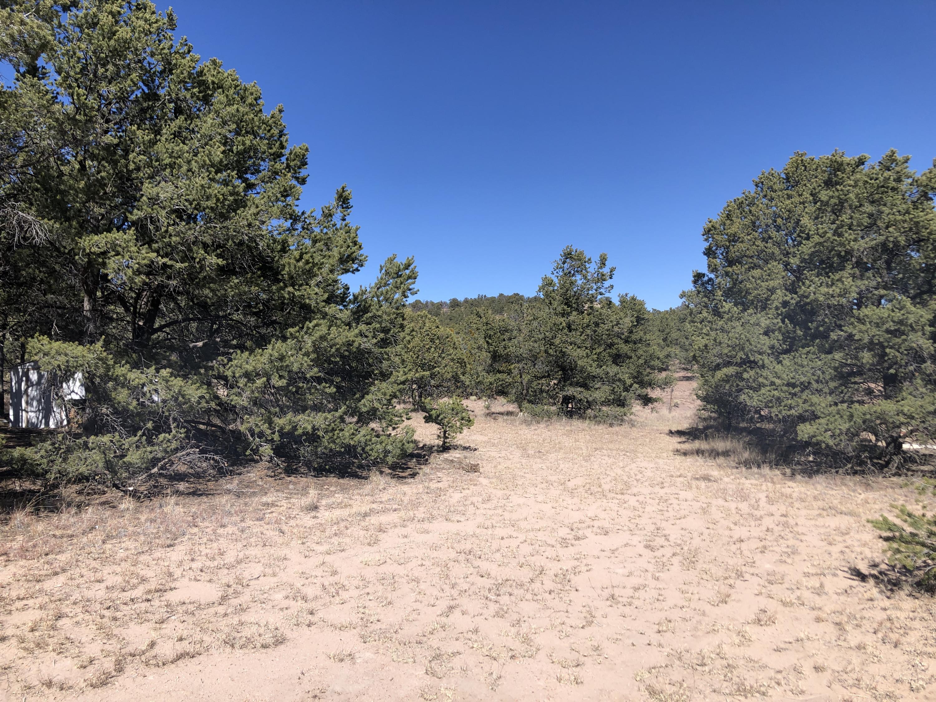 133 Homestead Trail