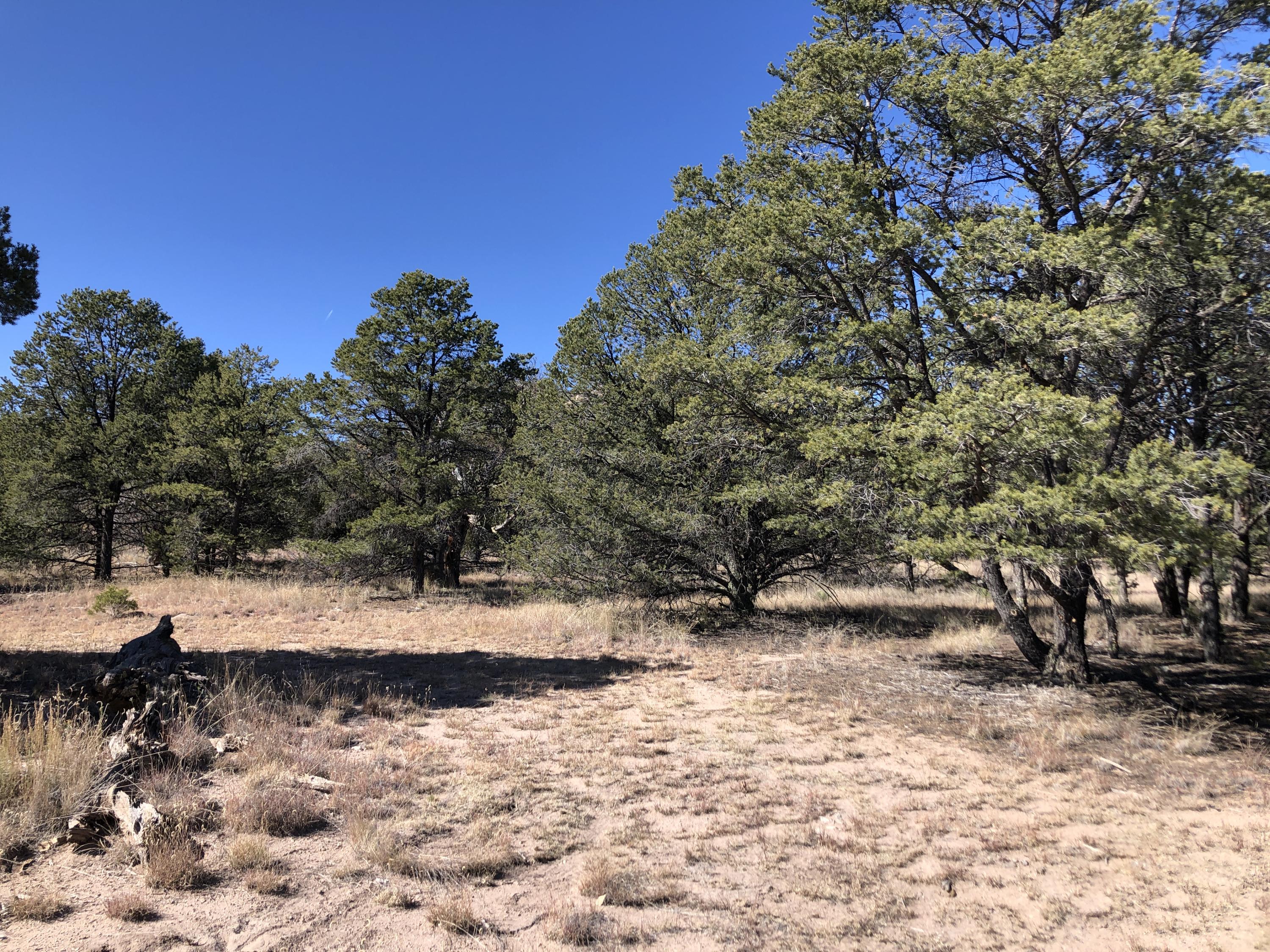 133 Homestead Trail