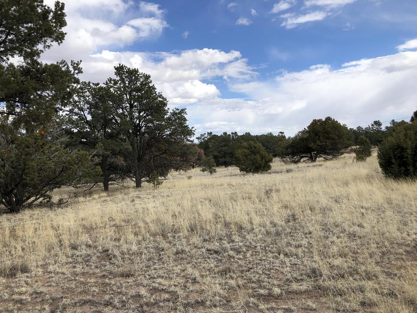 133 Homestead Trail