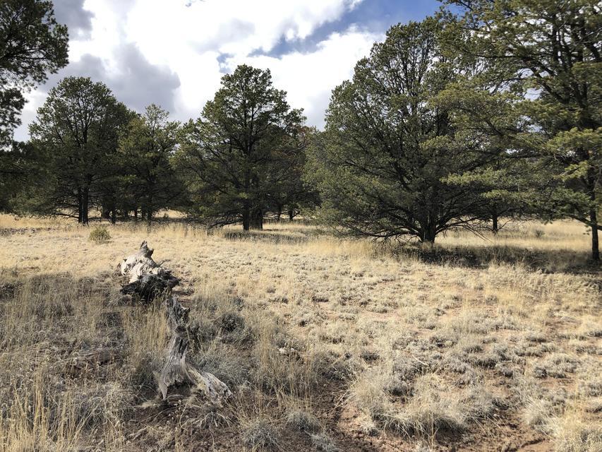 133 Homestead Trail