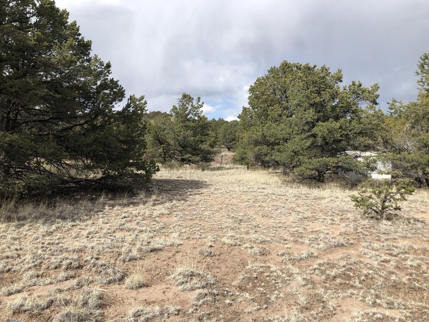 133 Homestead Trail