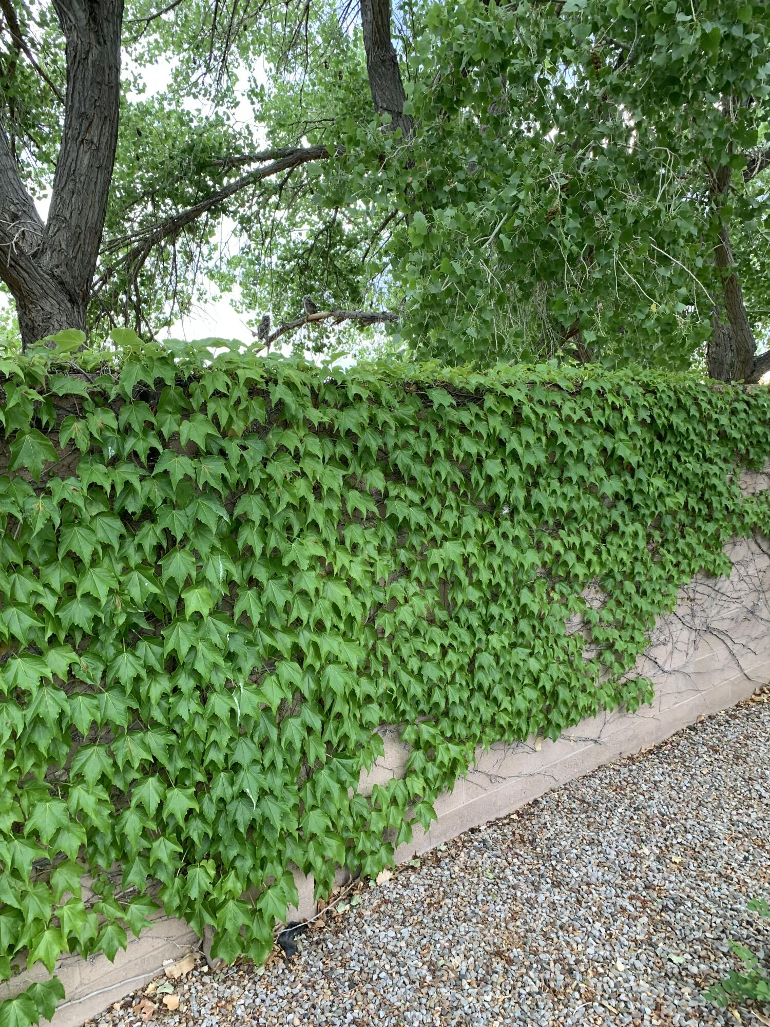 11930 Dusty Rose Road NE