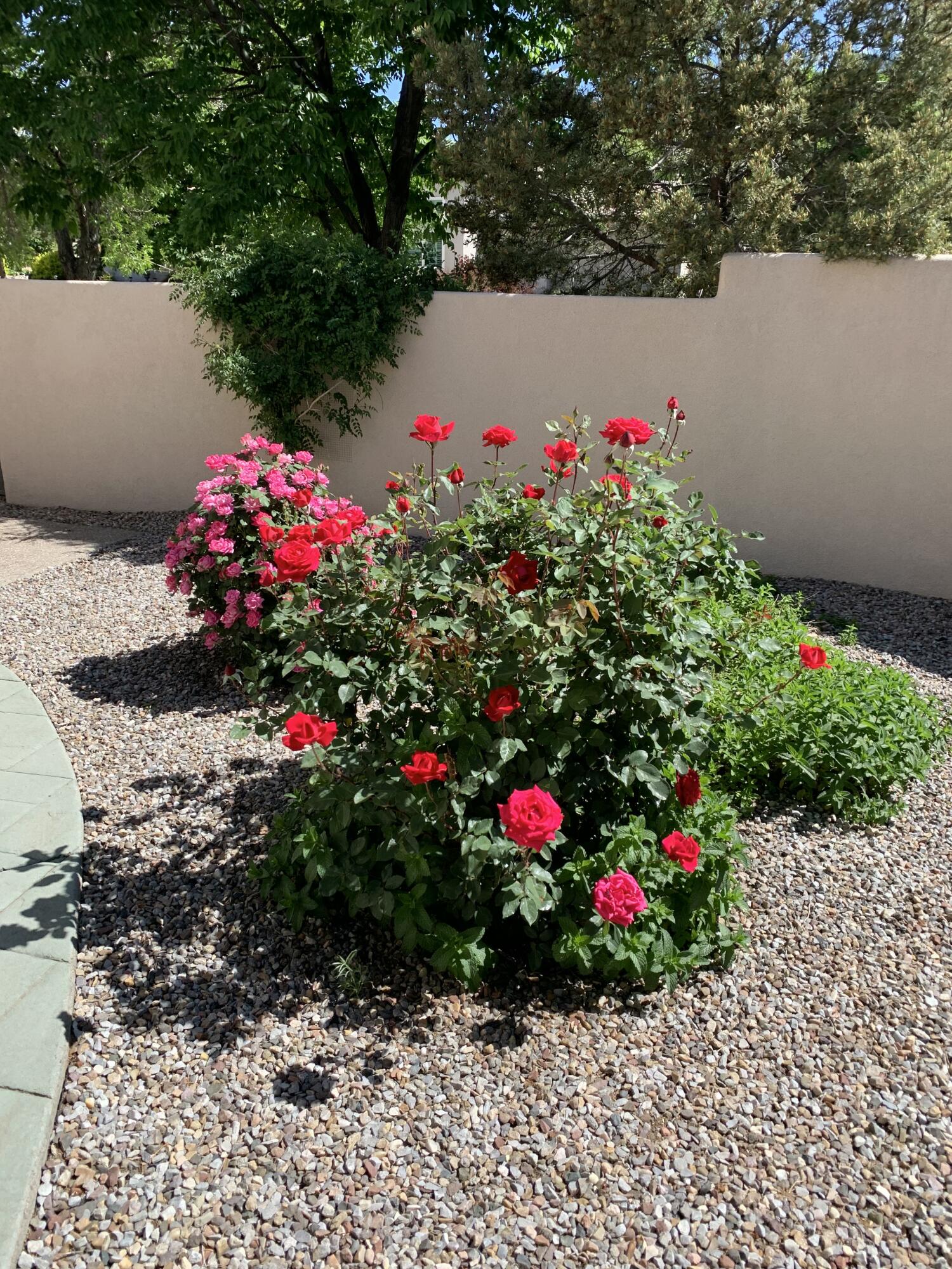 11930 Dusty Rose Road NE