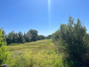 806 Gabaldon Road