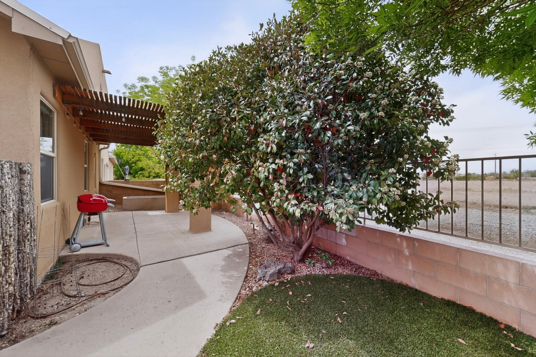 1719 Band Saw Place NW