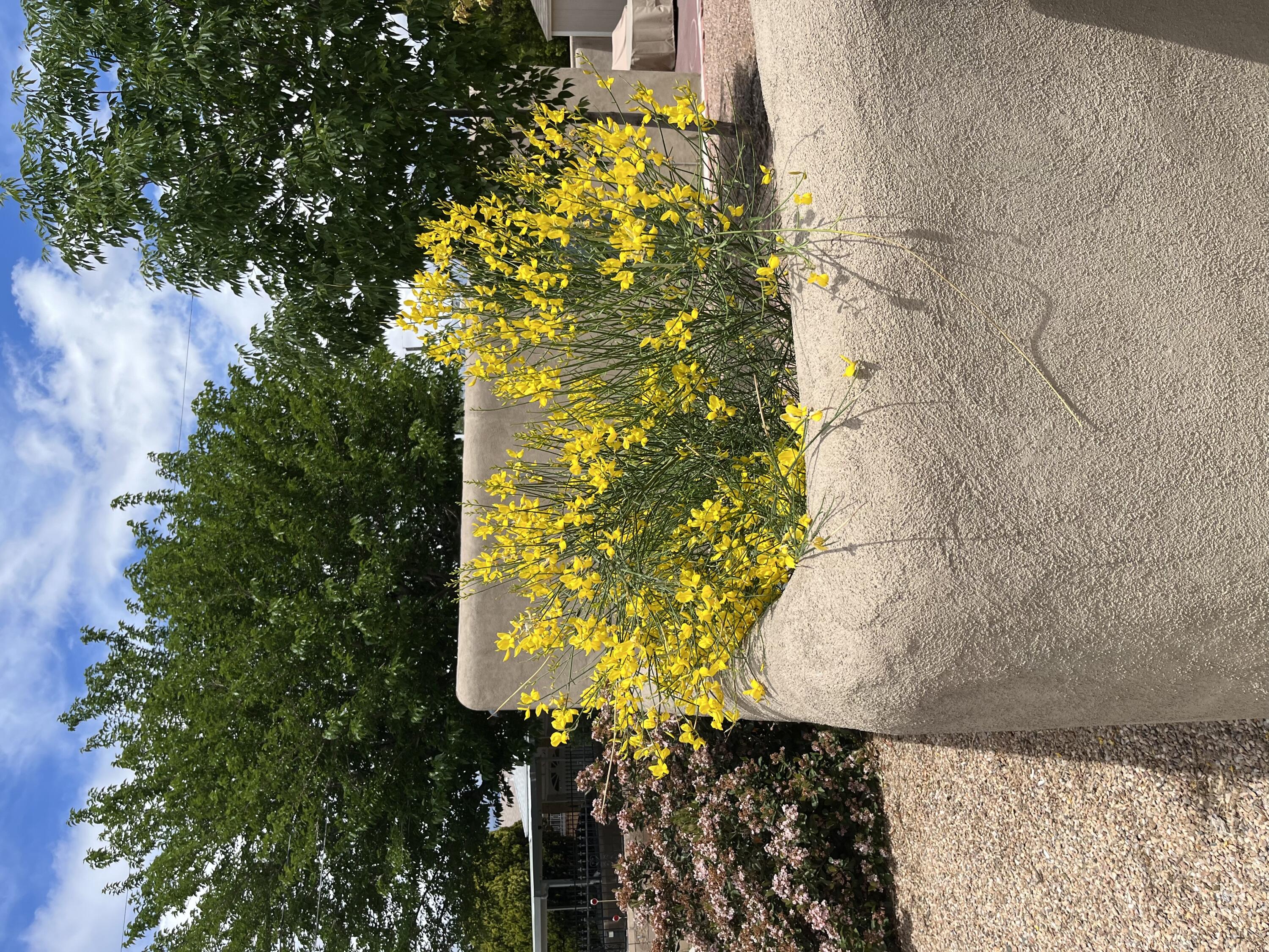 1900 Anderson Place SE