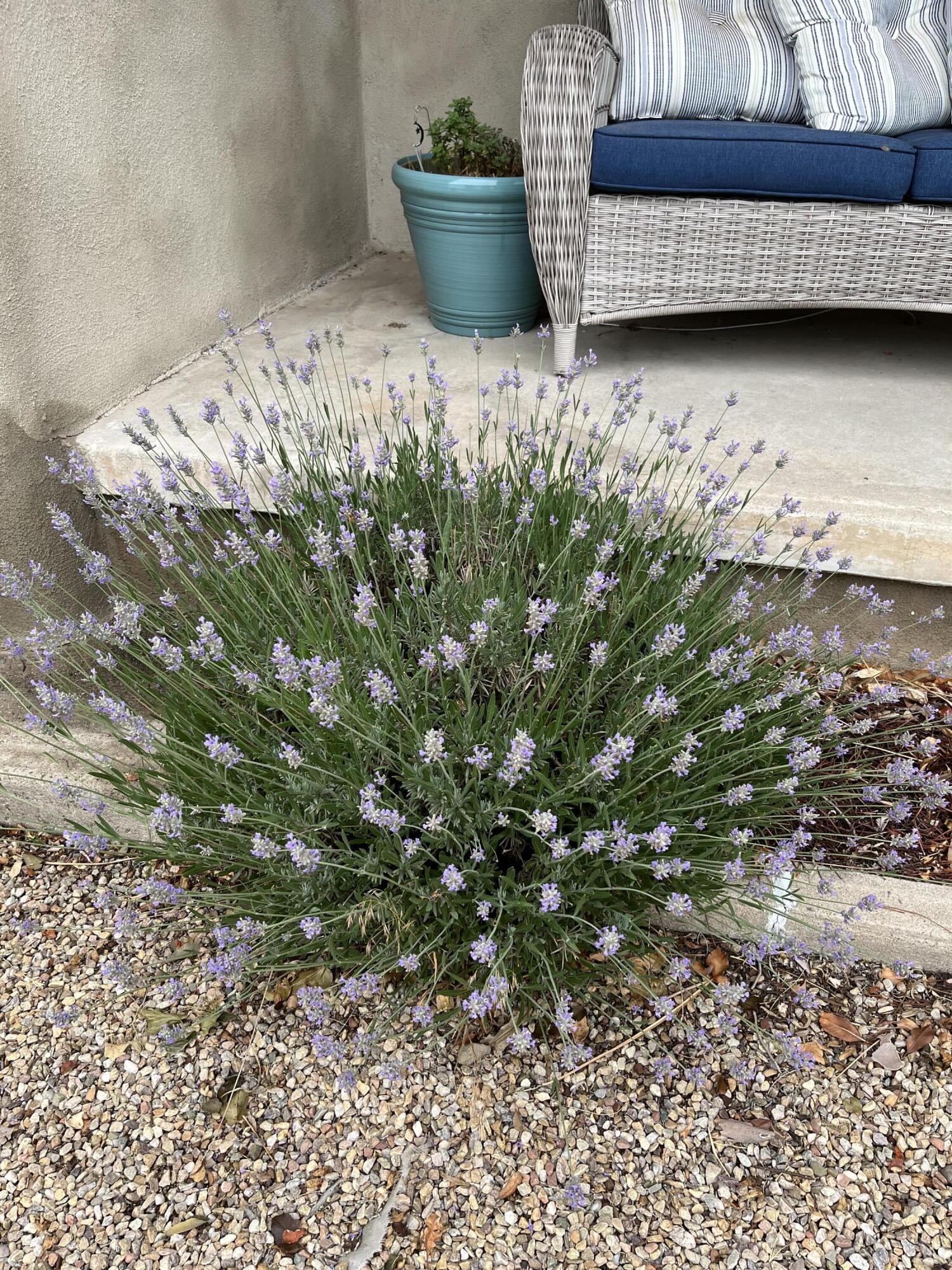 1900 Anderson Place SE