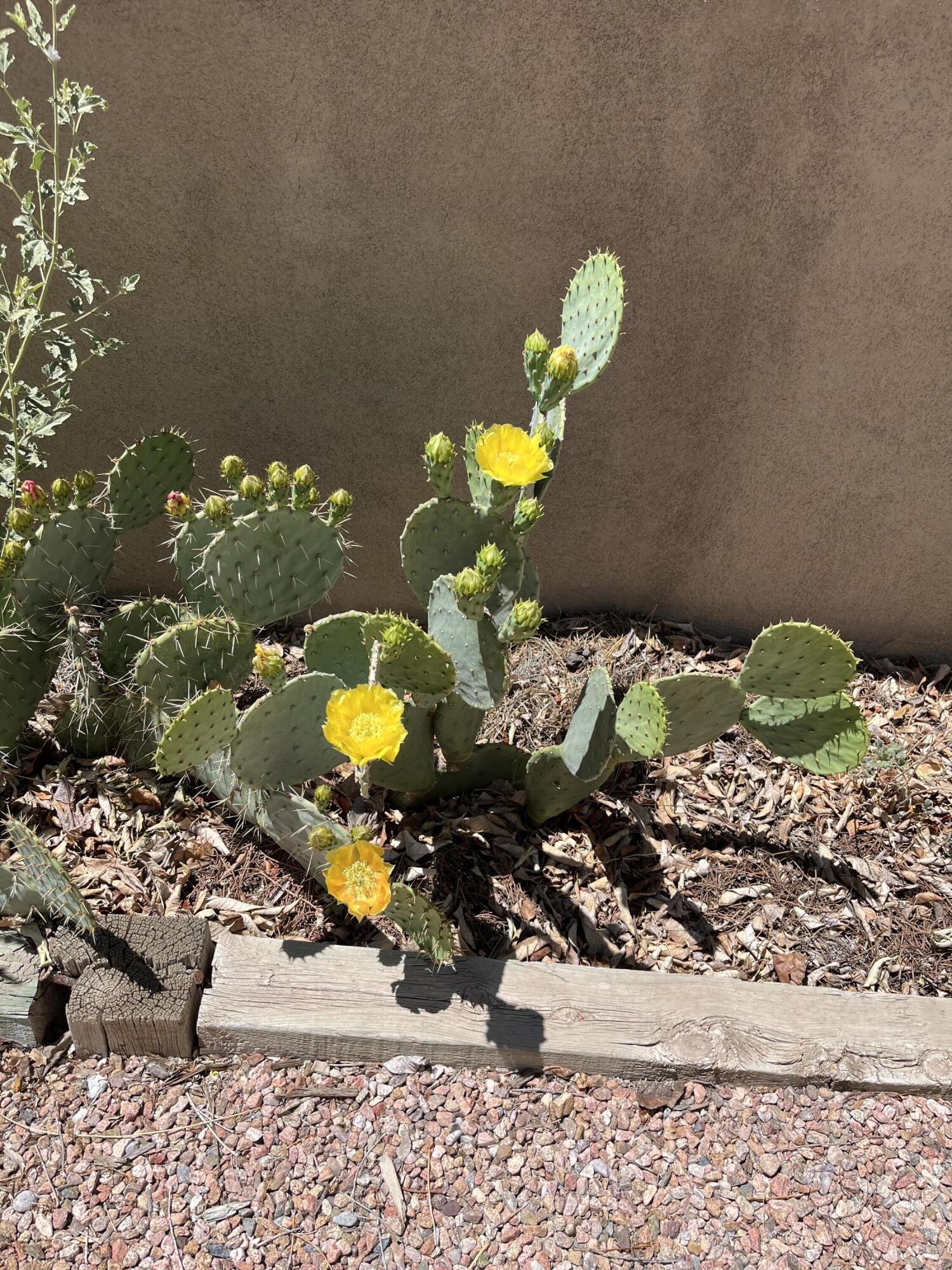 1900 Anderson Place SE