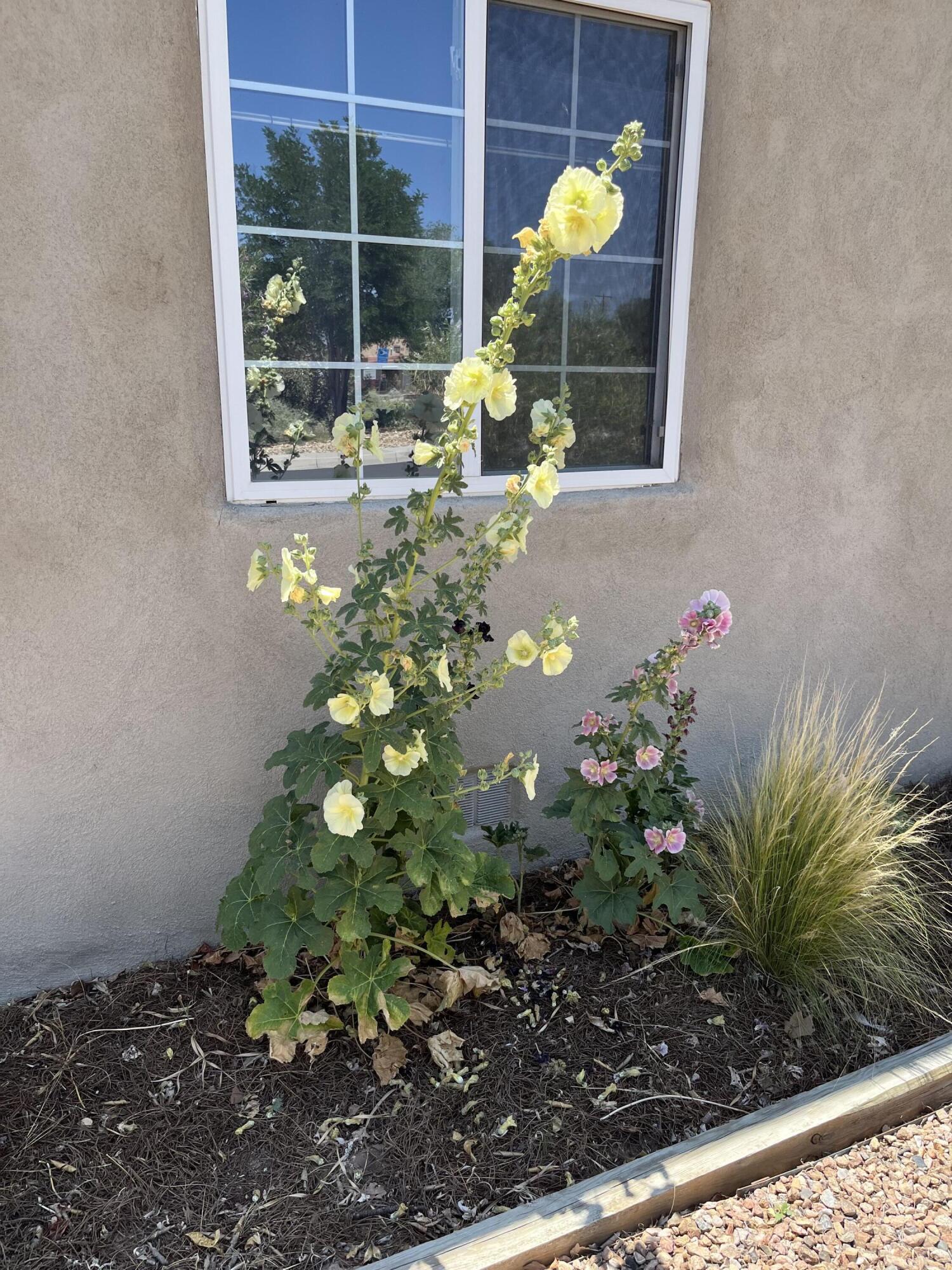 1900 Anderson Place SE