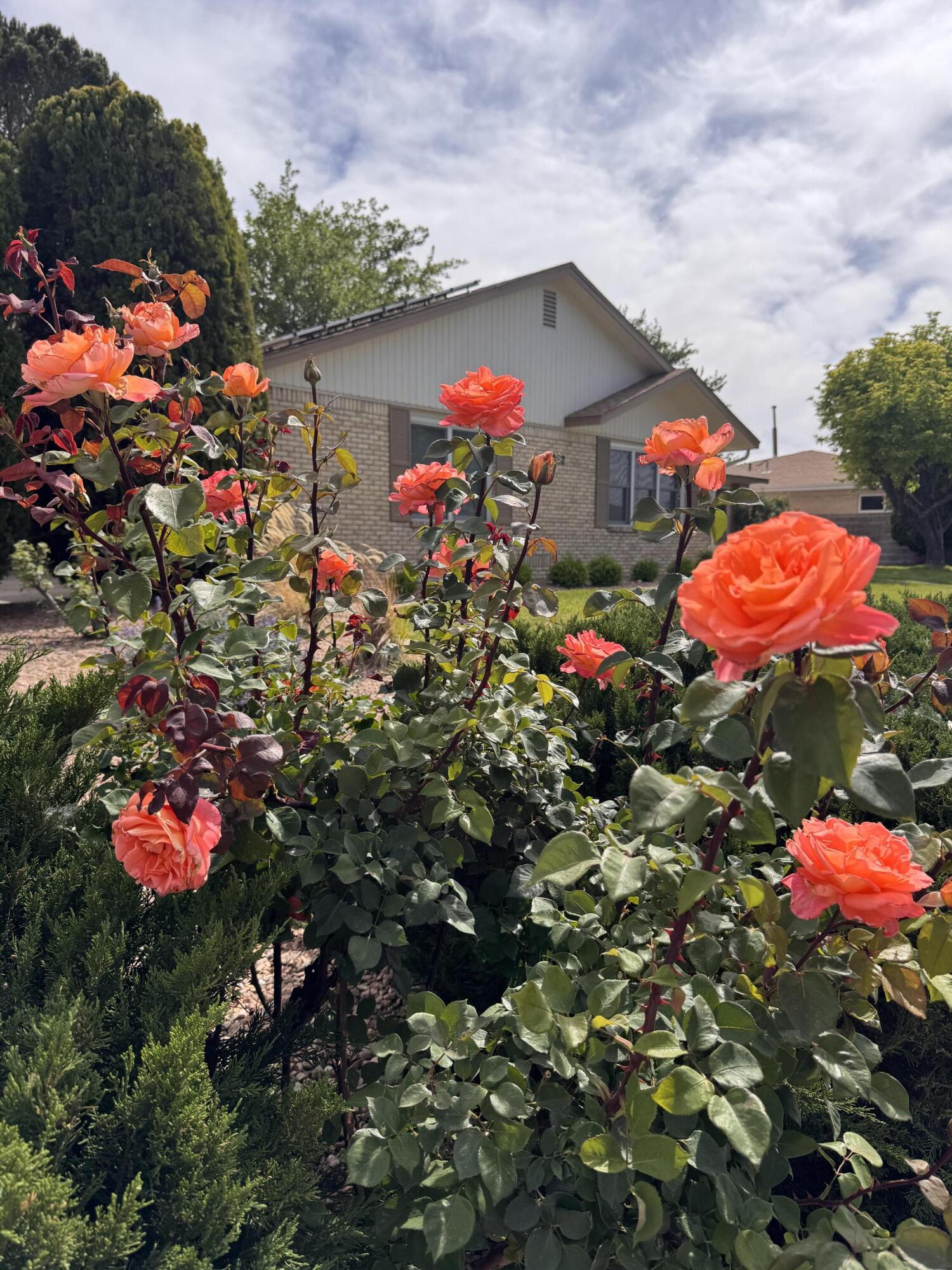 2512 Cutler Avenue NE