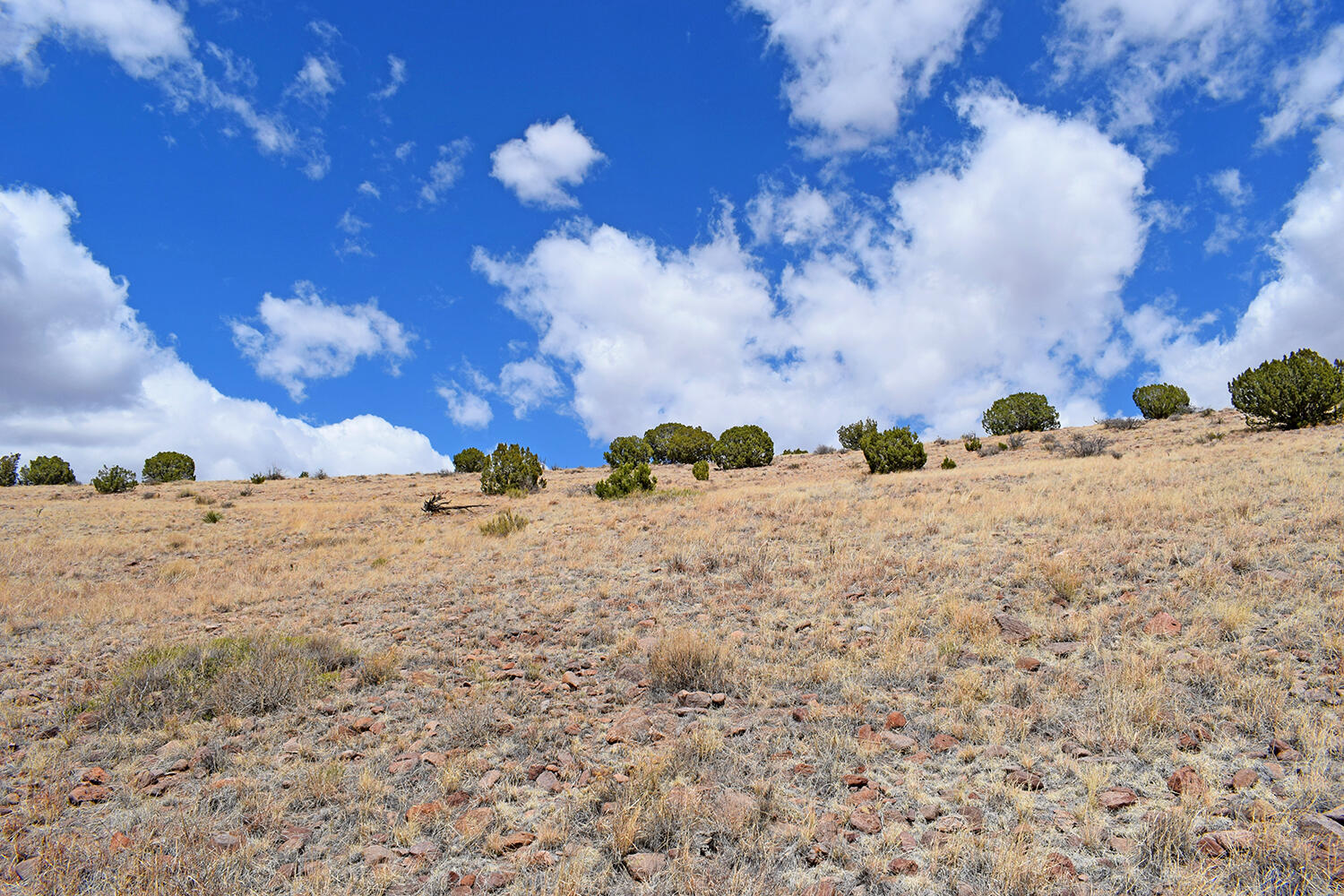 Lot 7 Painted Horse Road