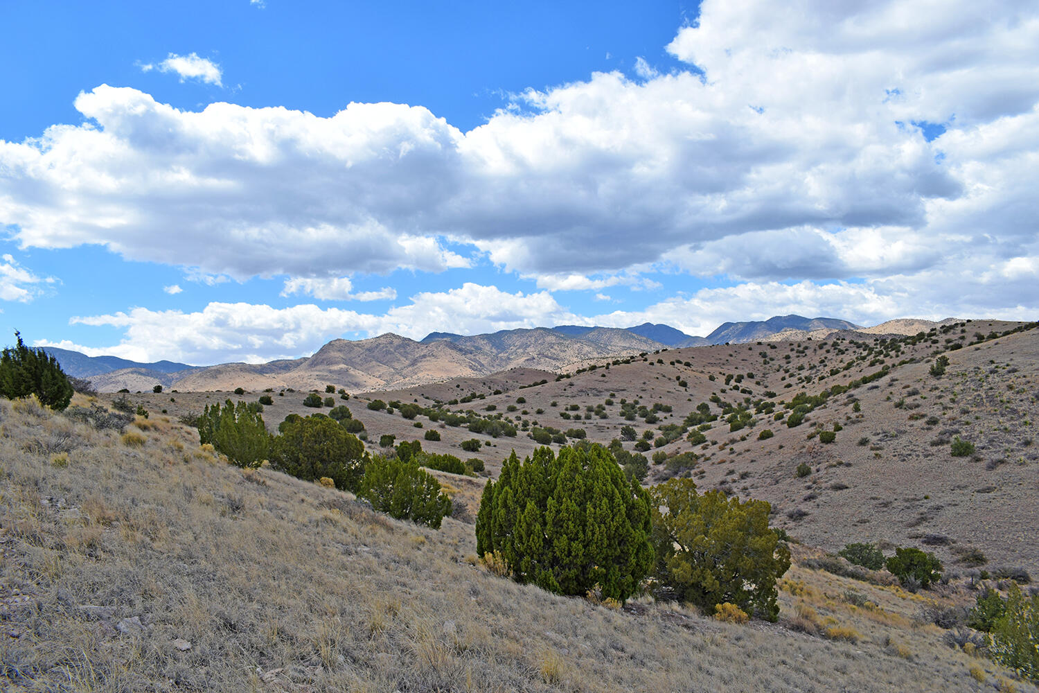 Lot 7 Painted Horse Road