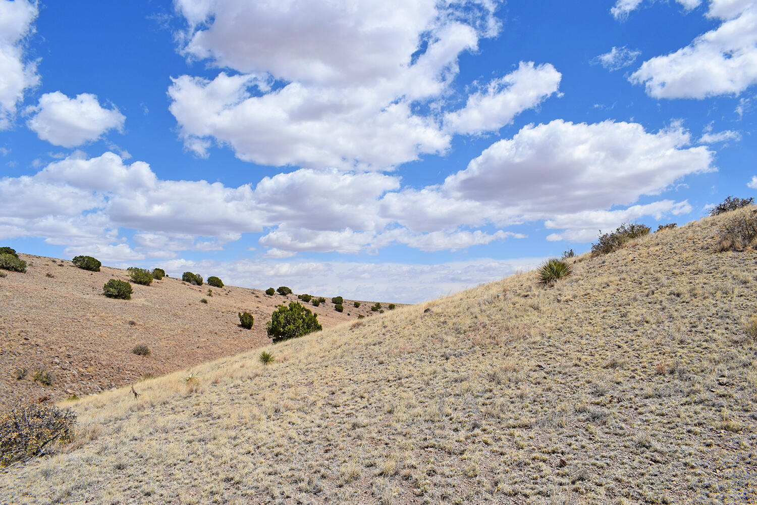 Lot 7 Painted Horse Road