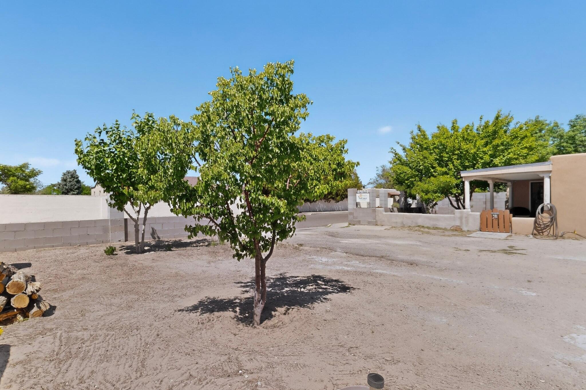 308 Dolores Drive NW