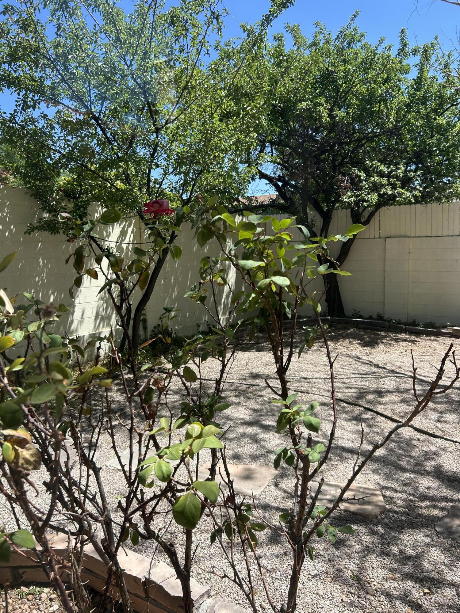 10816 Academy Ridge Road NE