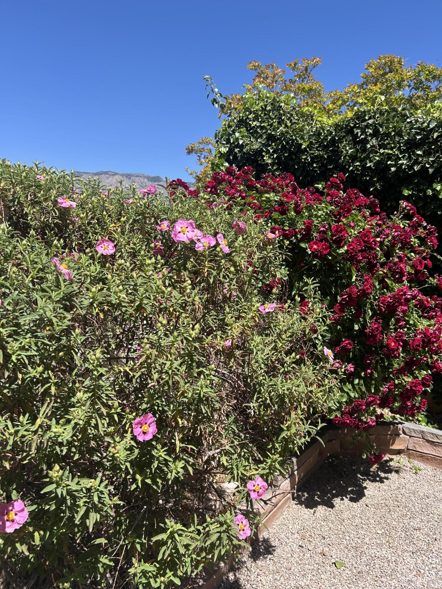 10816 Academy Ridge Road NE