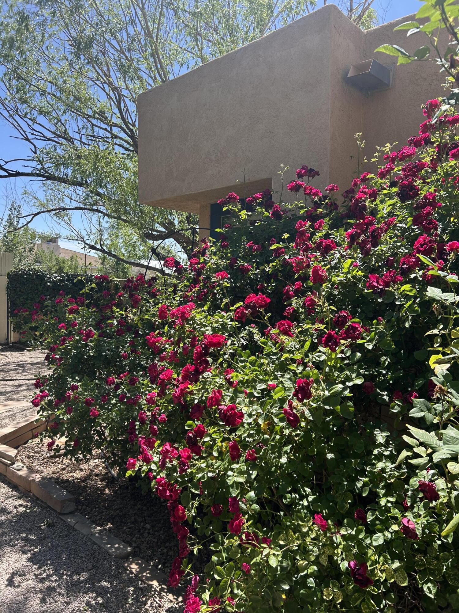 10816 Academy Ridge Road NE