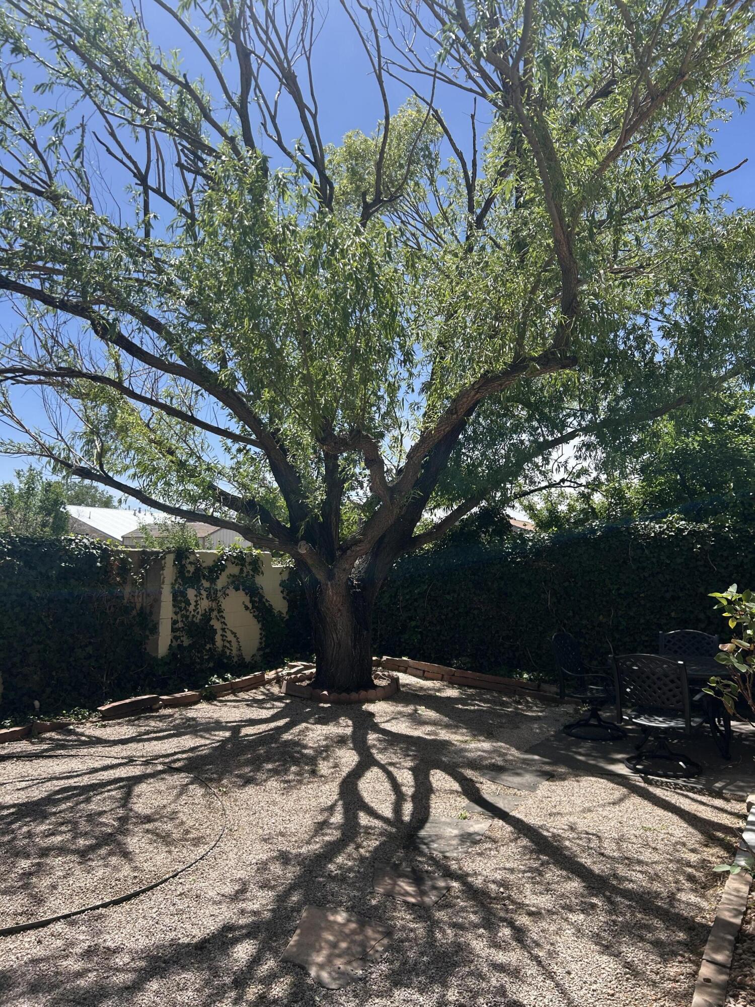 10816 Academy Ridge Road NE