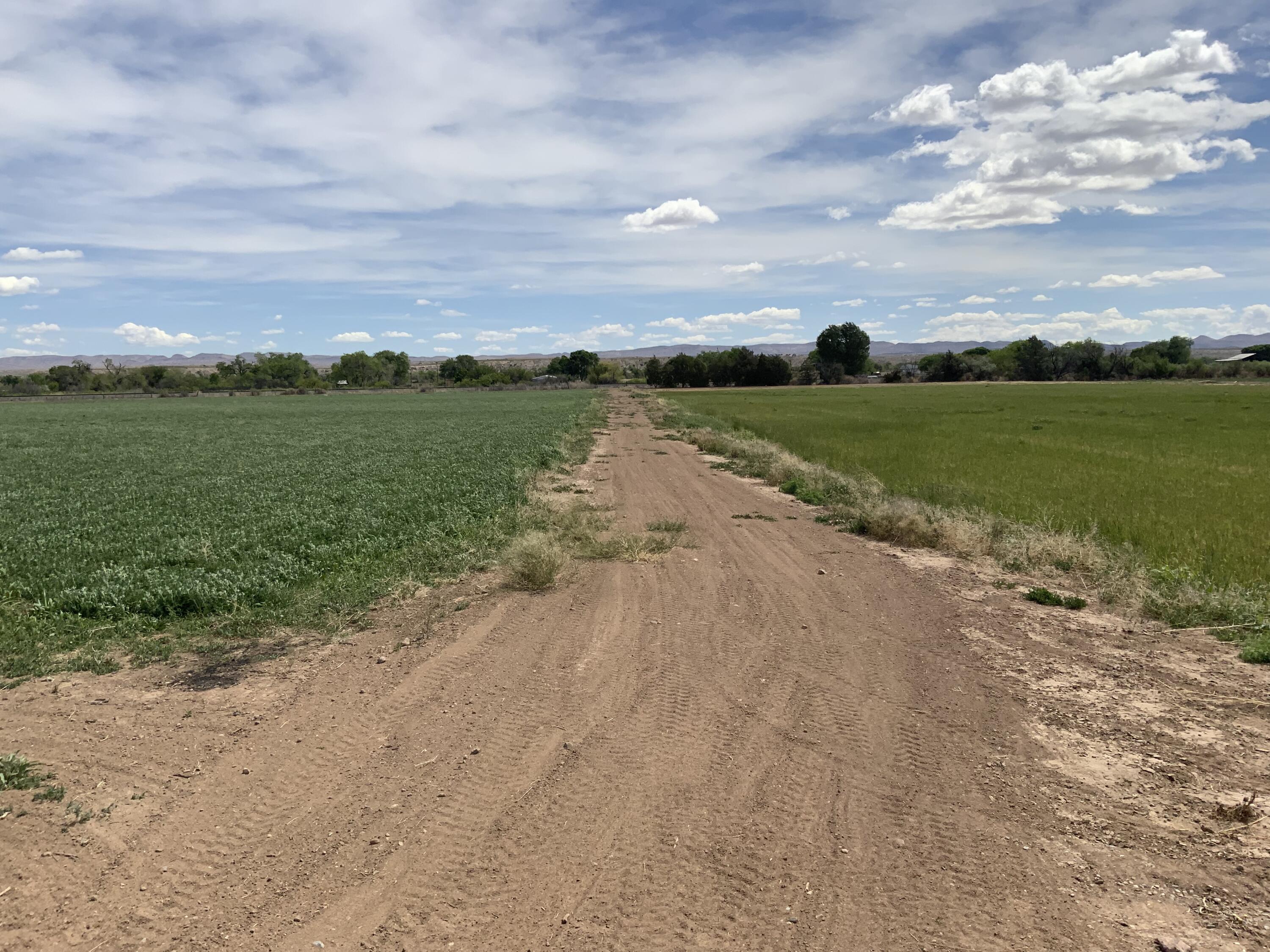 Market Farm Road