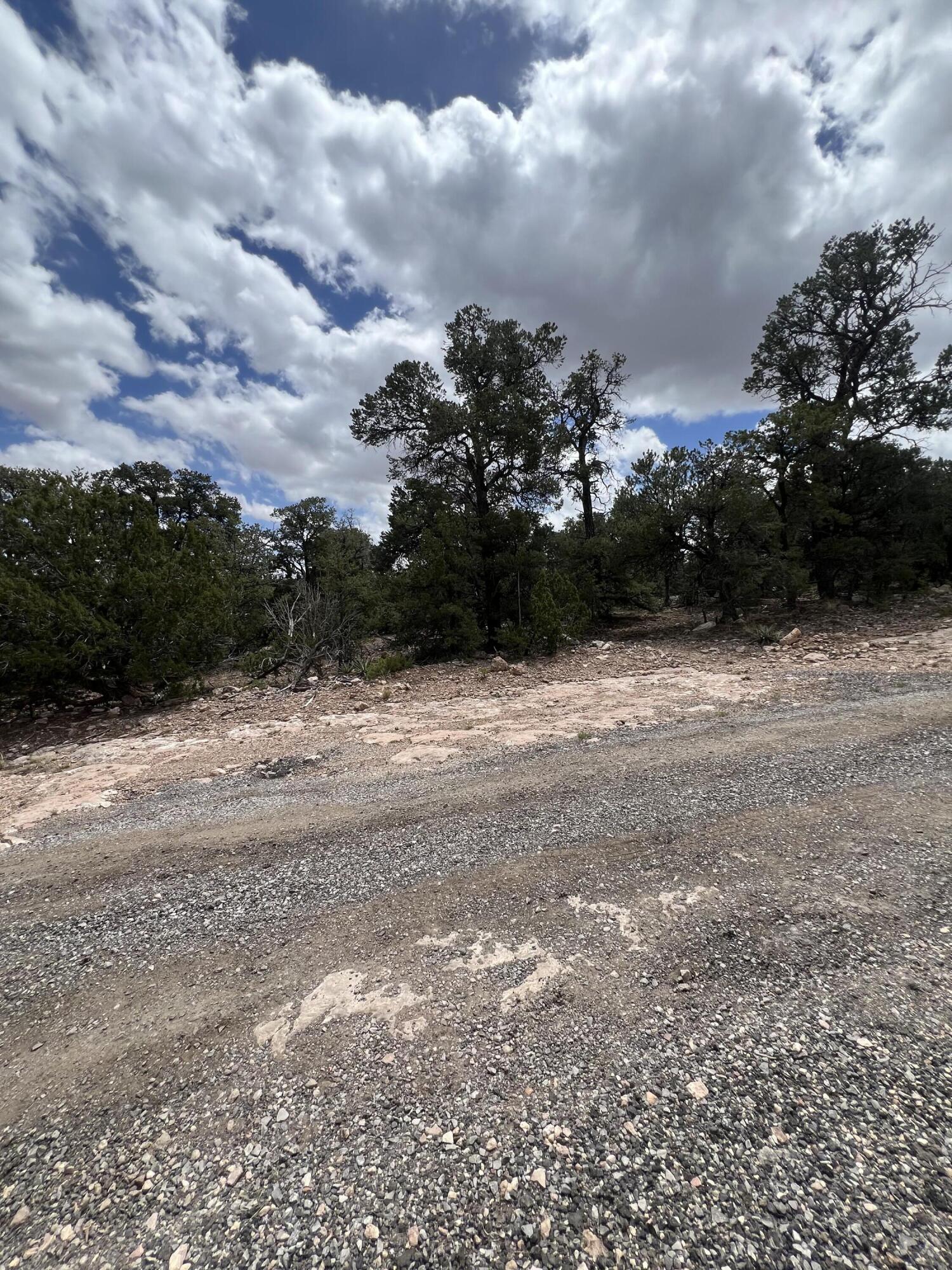 Lot 15 Marlin Road 15