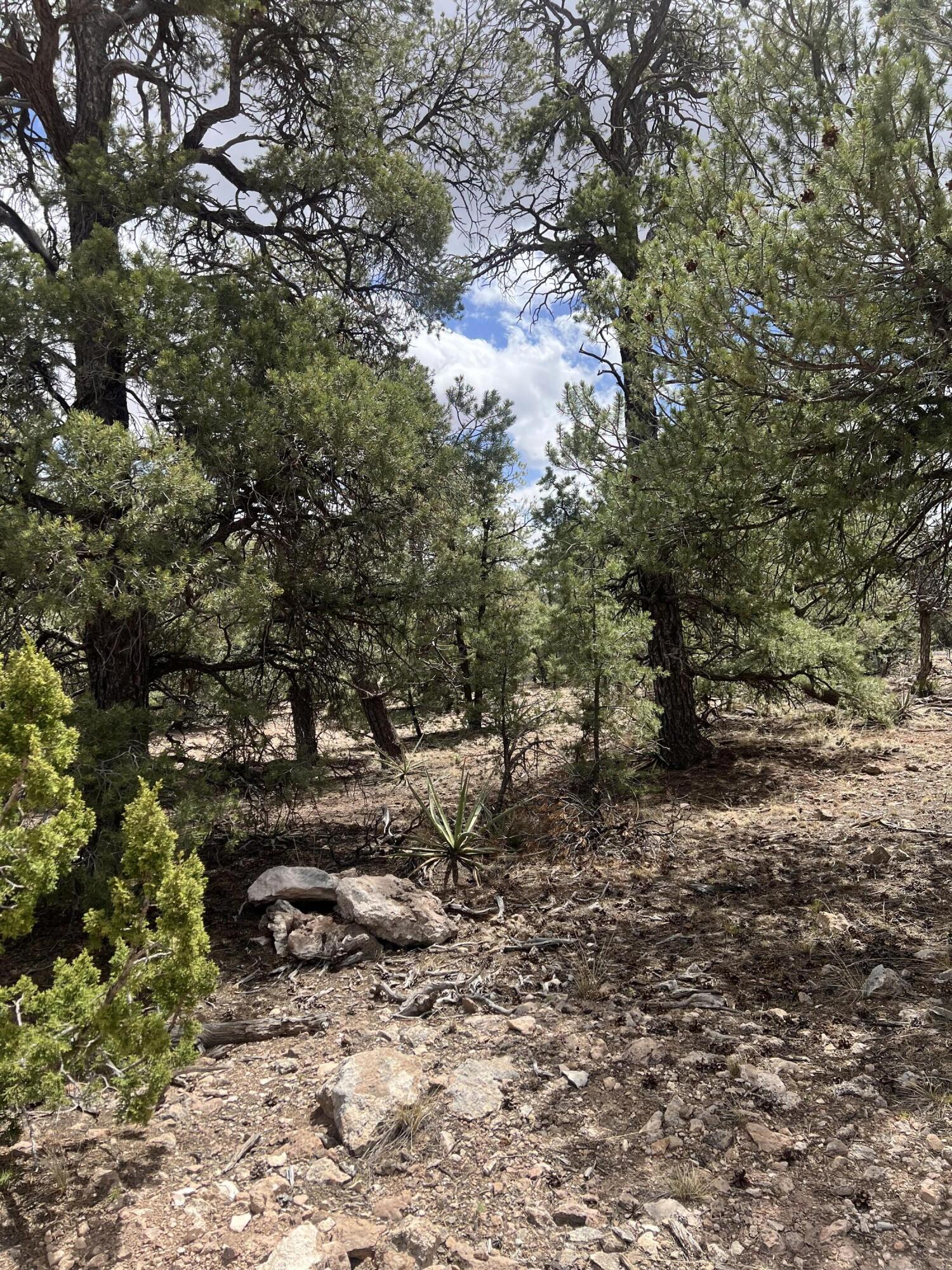 Lot 15 Marlin Road 15
