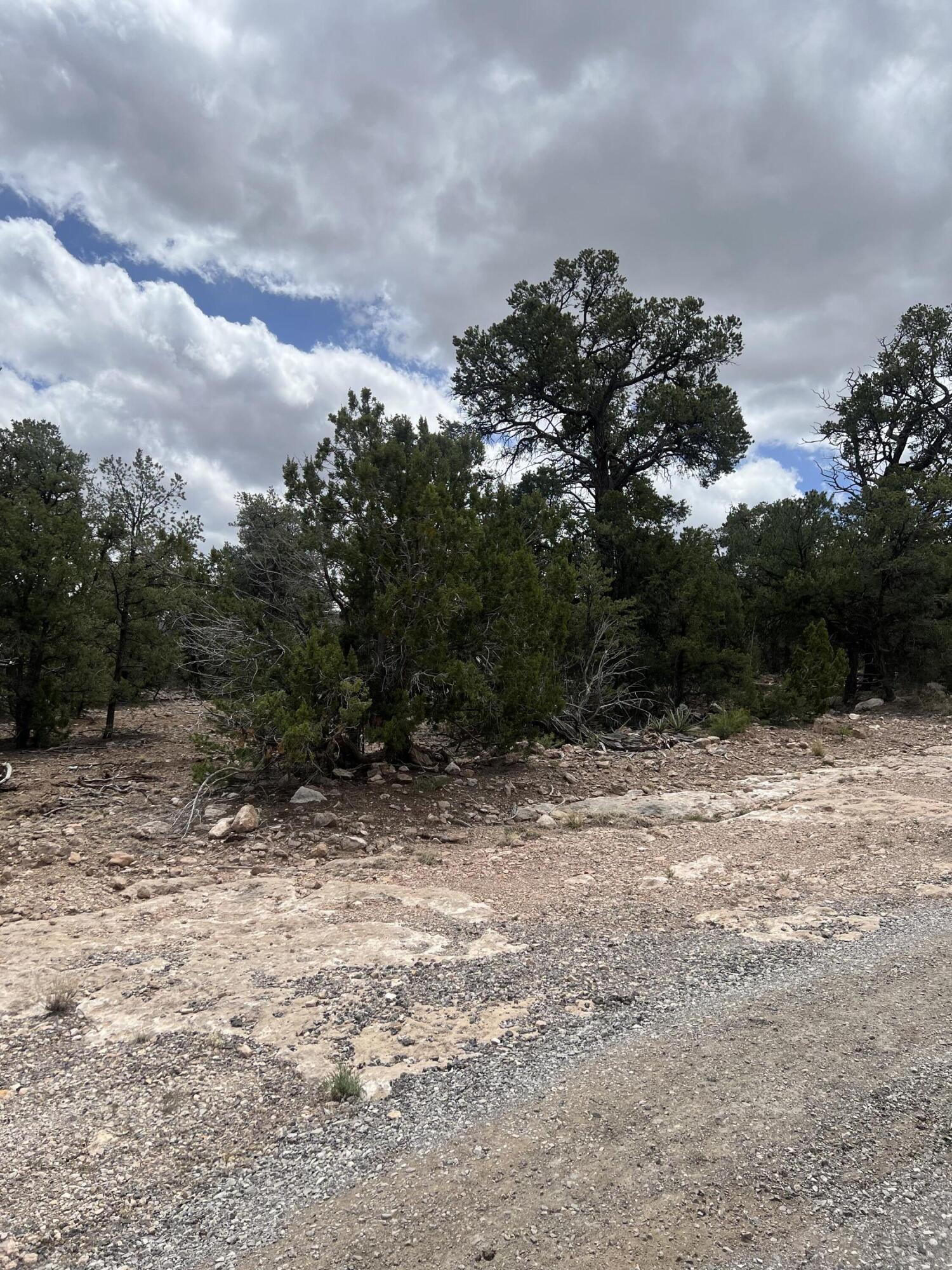 Lot 15 Marlin Road 15