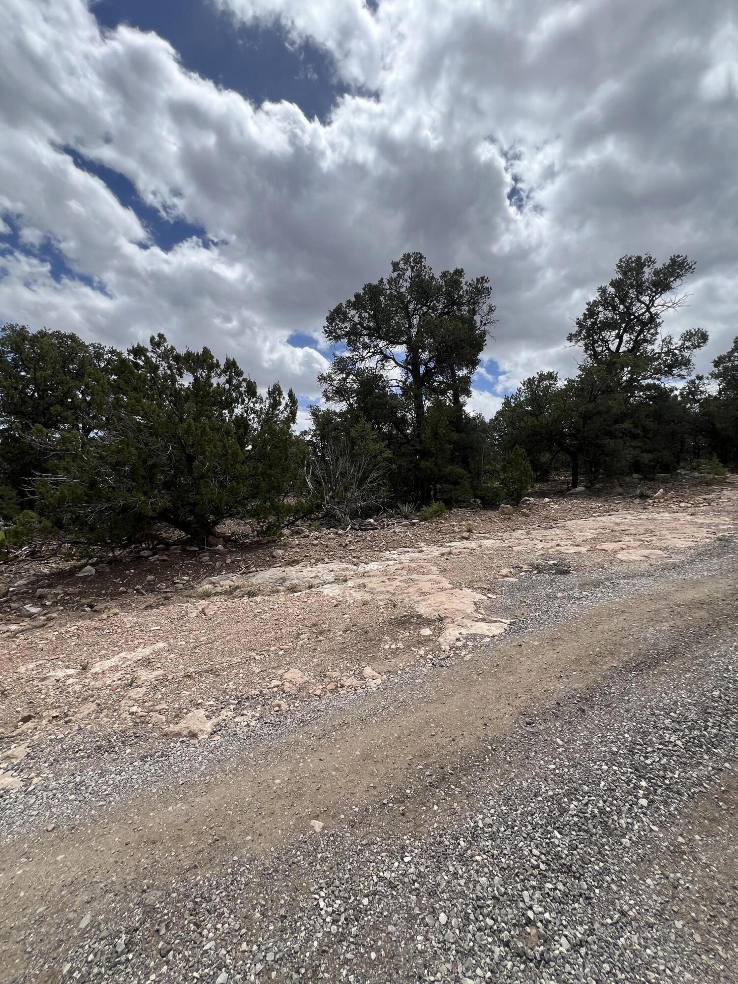 Lot 15 Marlin Road 15